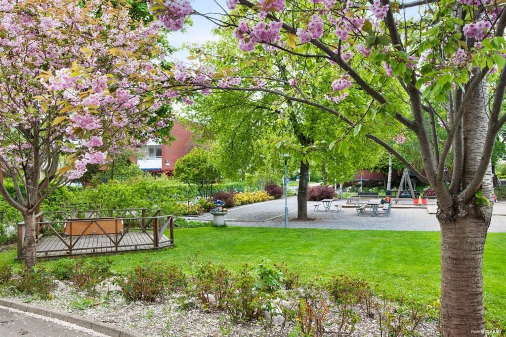 Föreningens omgivning