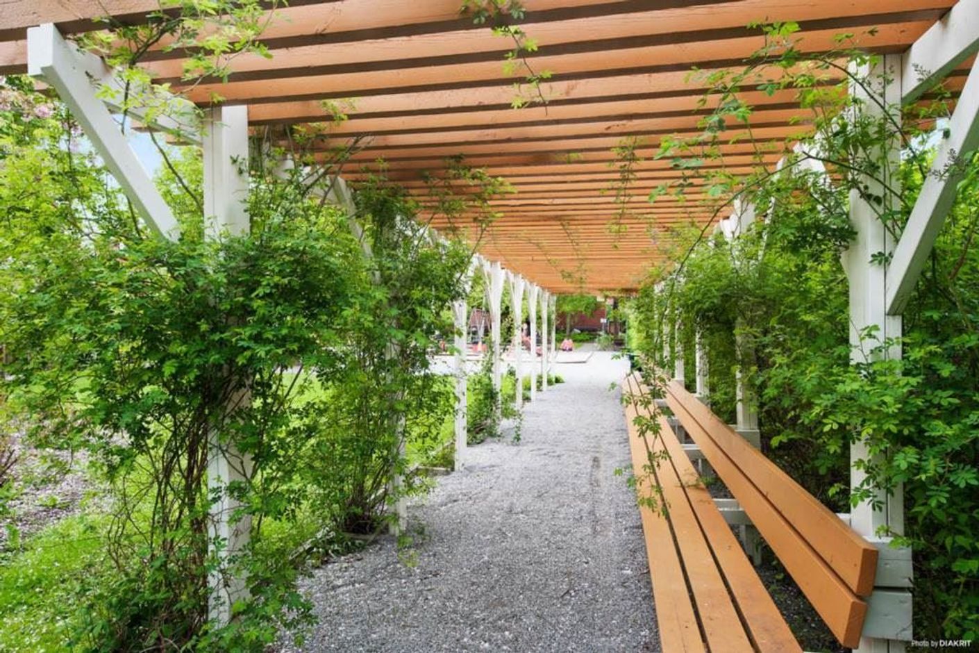 Föreningens omgivning