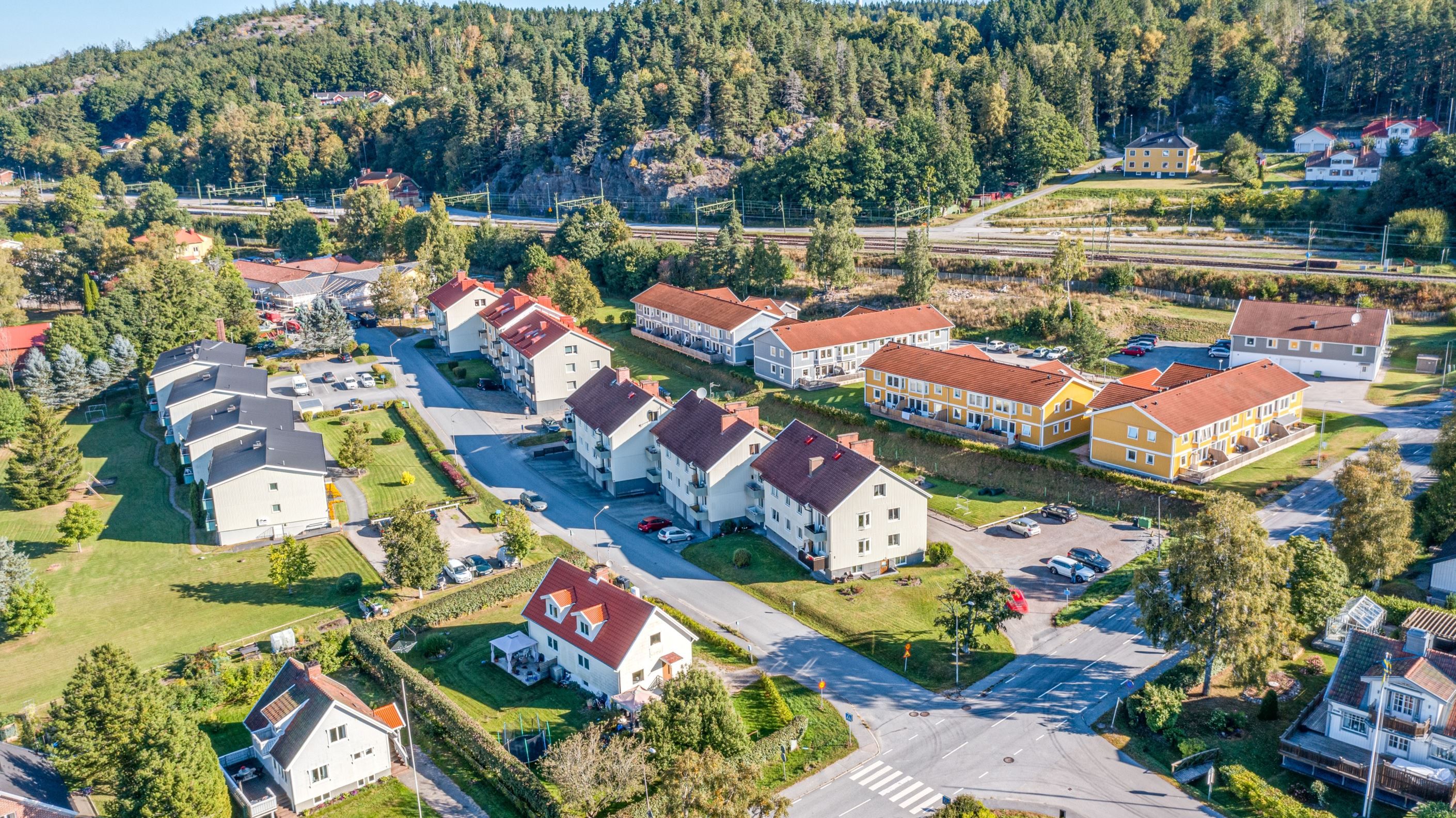 Välkomna till Nygatan i Dingle!