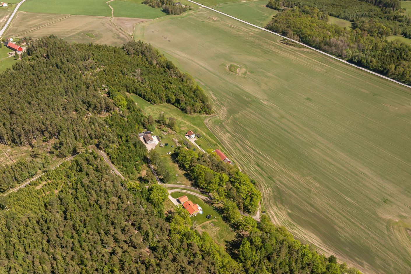 Bildkategori