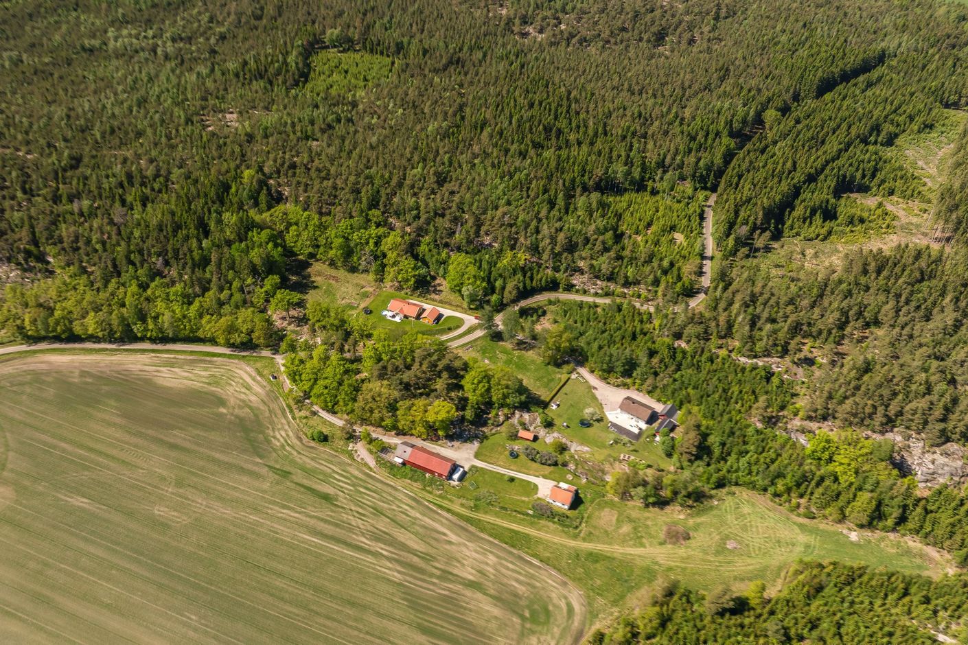 Bildkategori