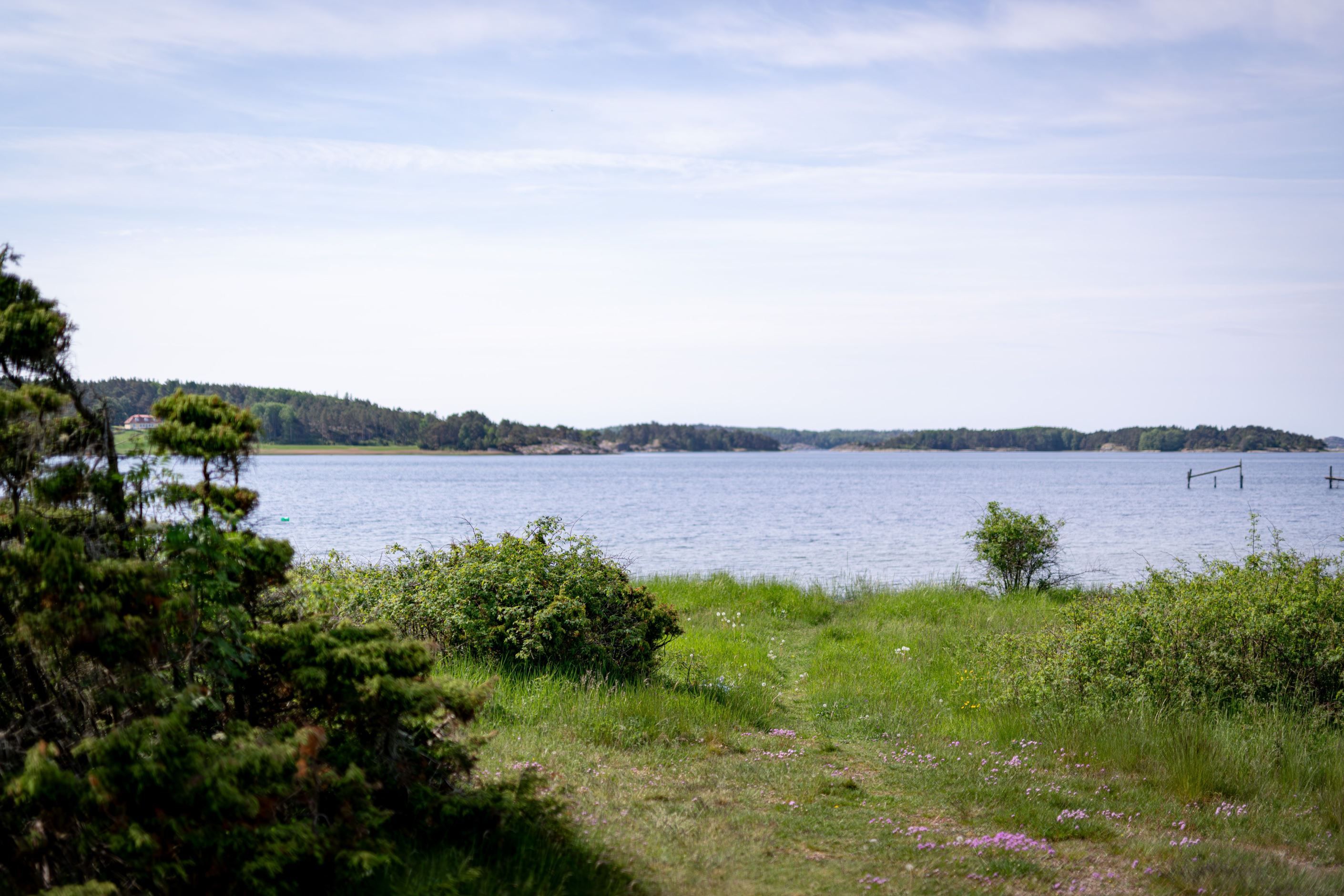 Bildkategori