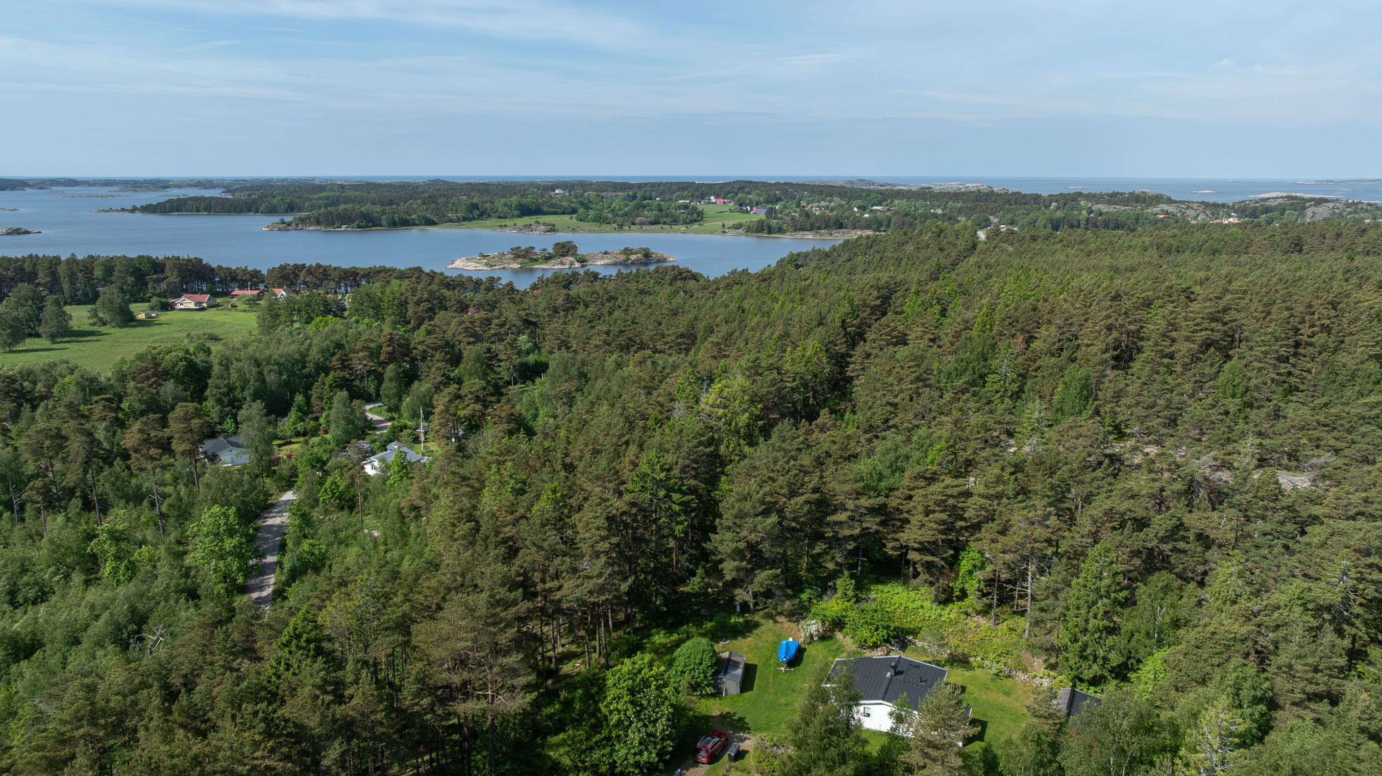 Bildkategori