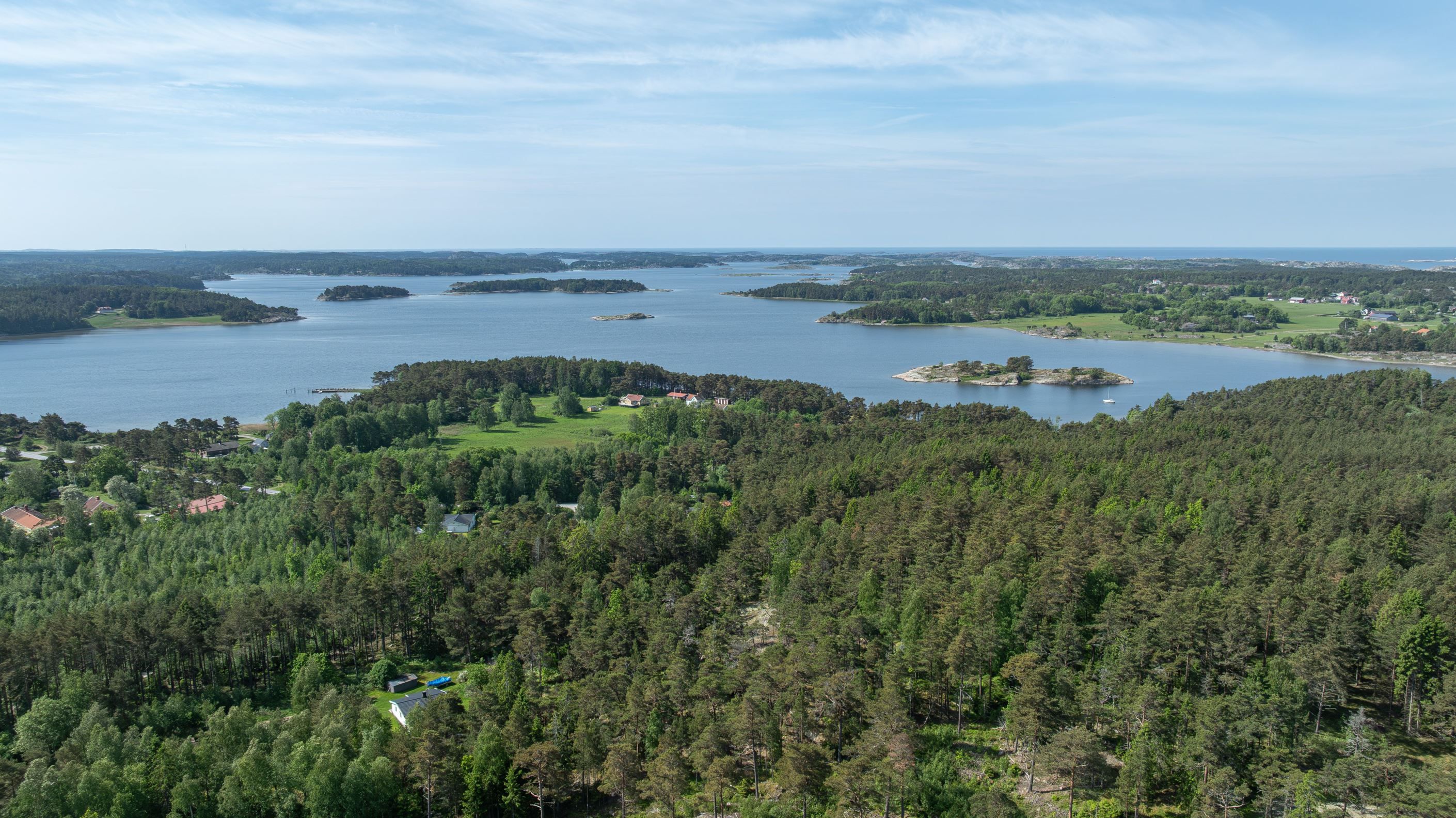 Bildkategori
