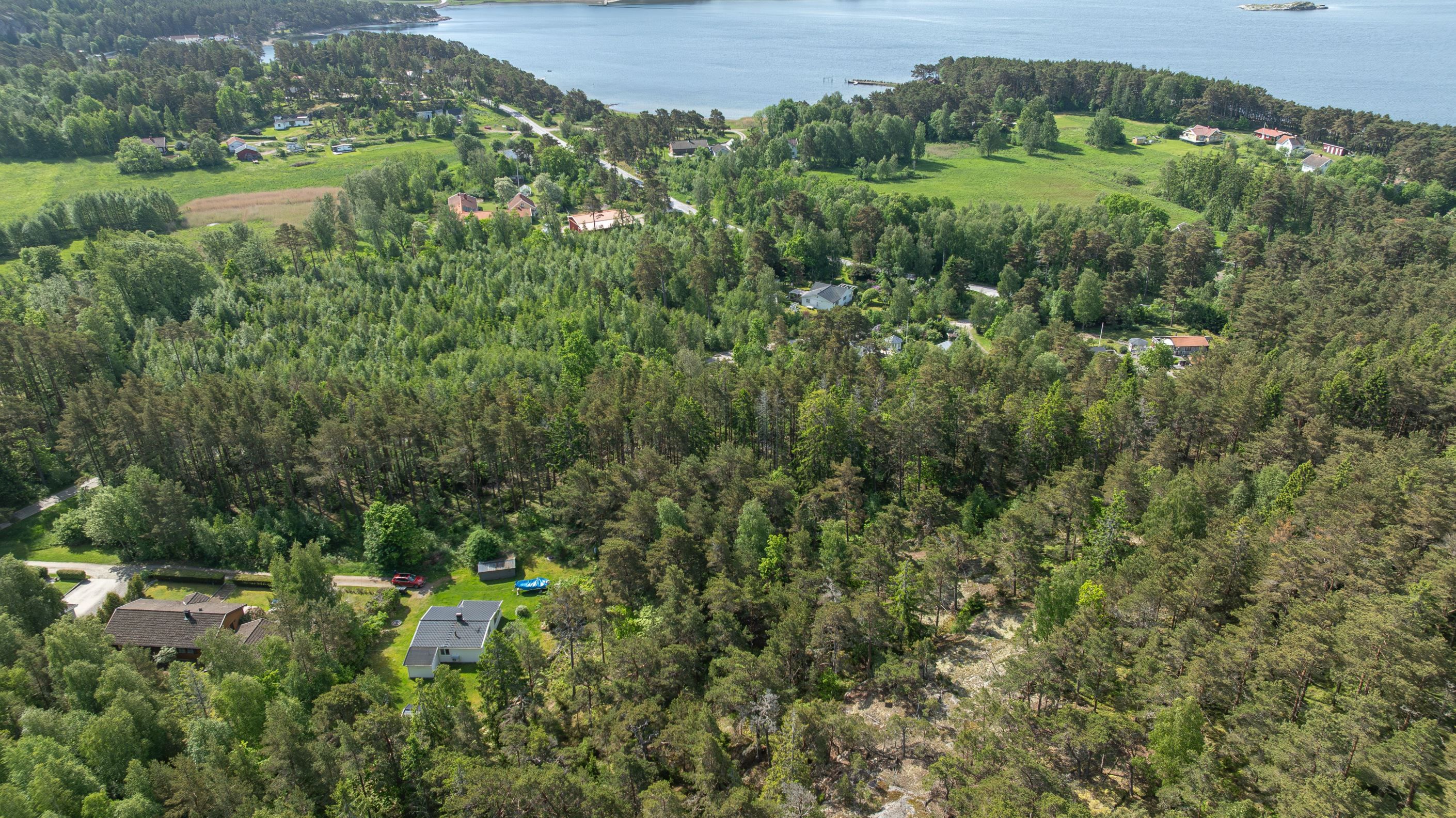 Bildkategori