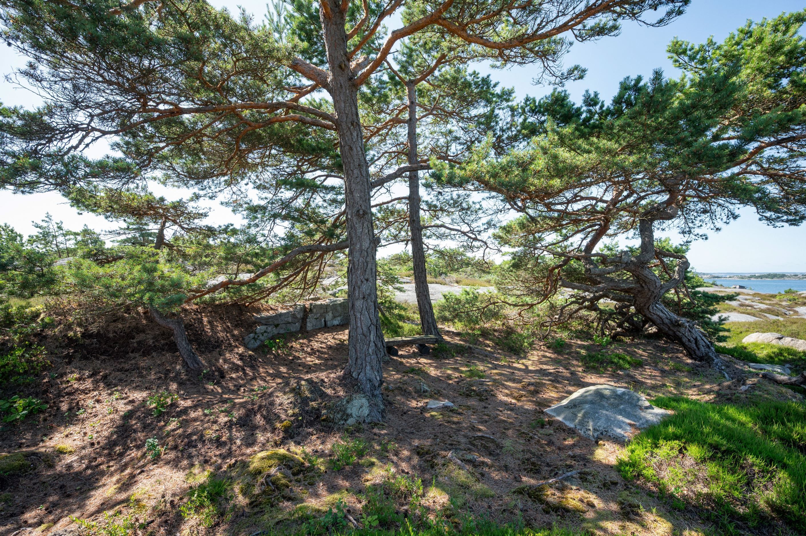 i "trollskogen" hittar barnen flera spännande lekställen