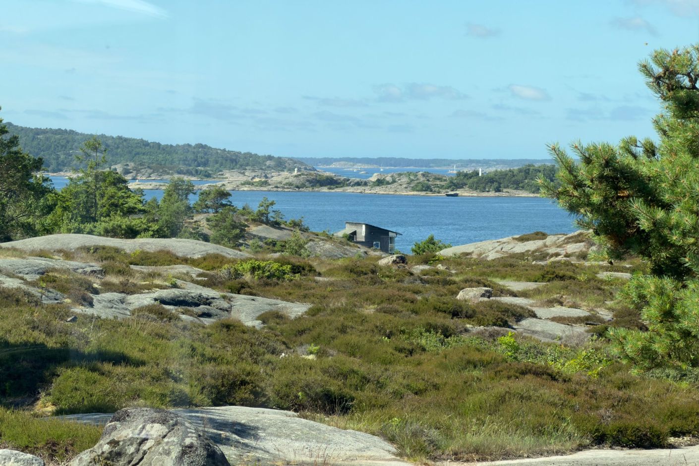 Bildkategori