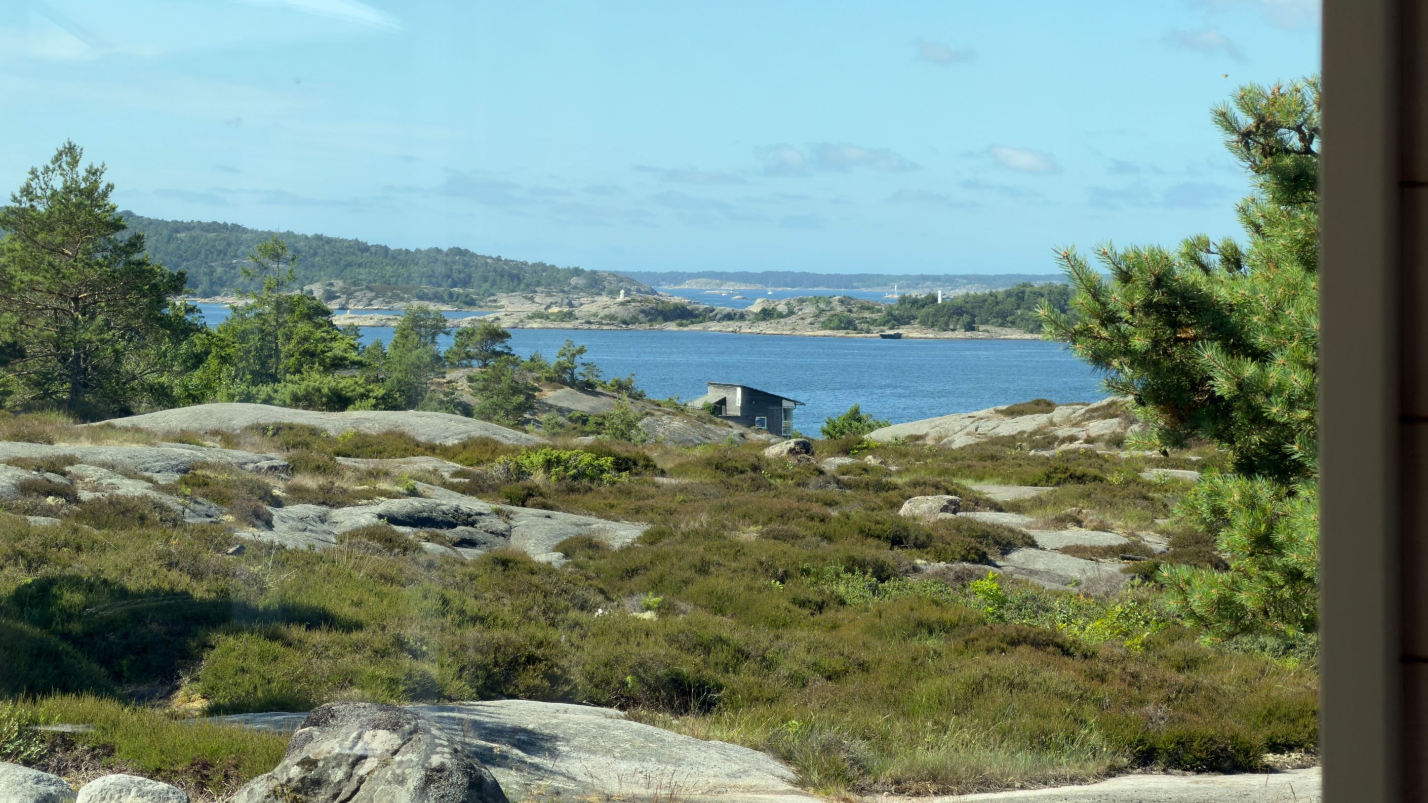 Bildkategori