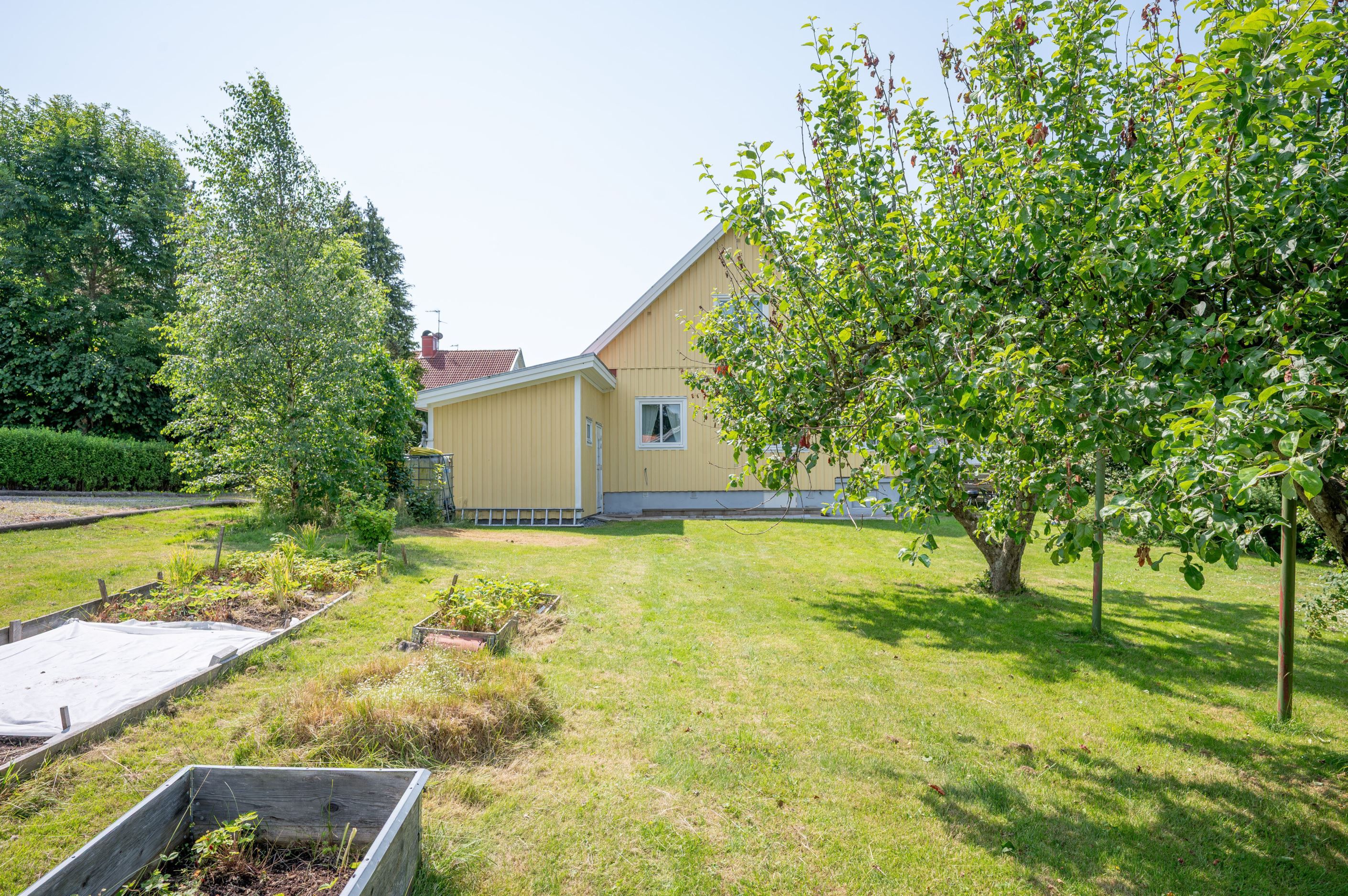 Bildkategori