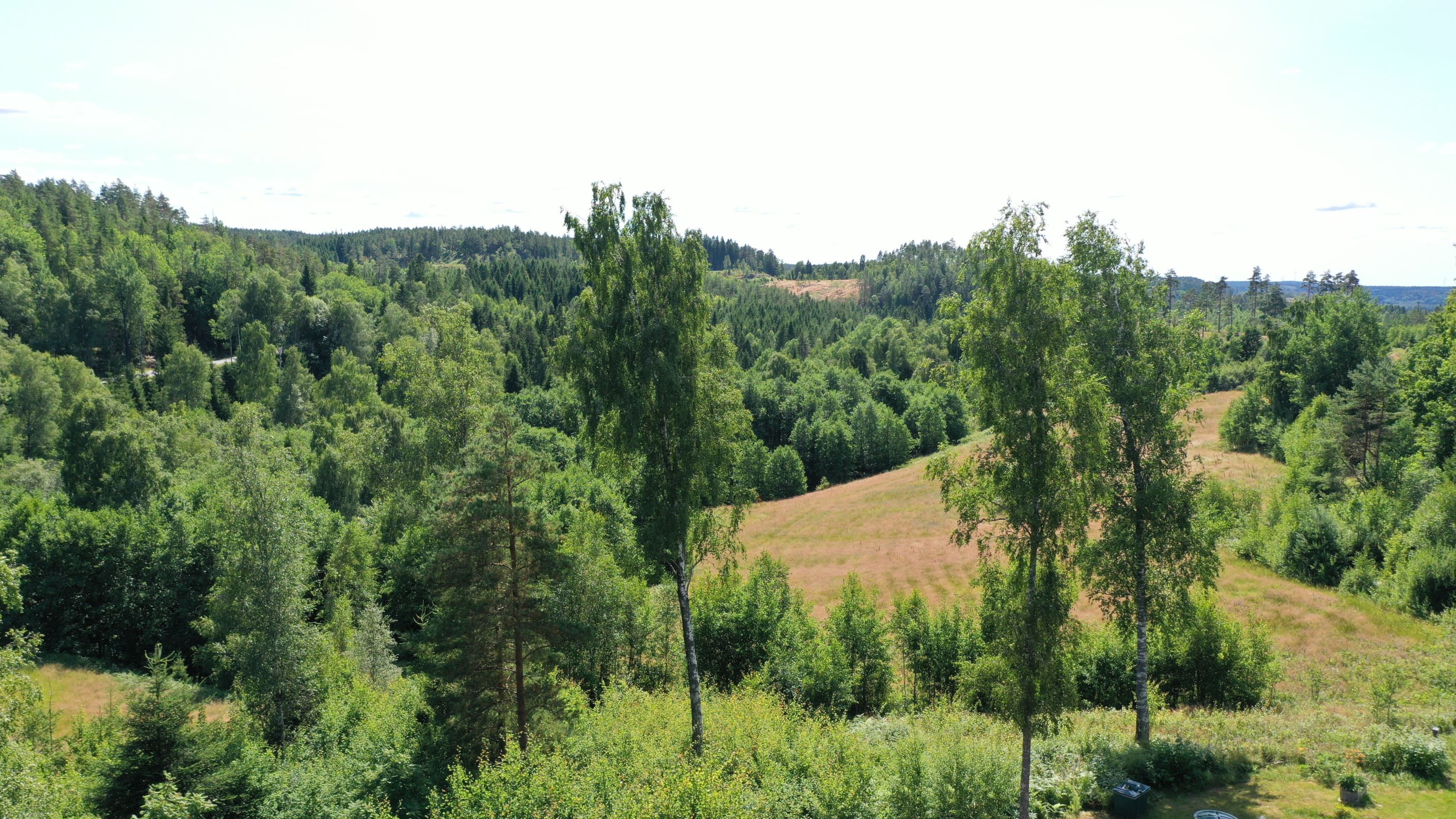 Området består av böljande dalgångar