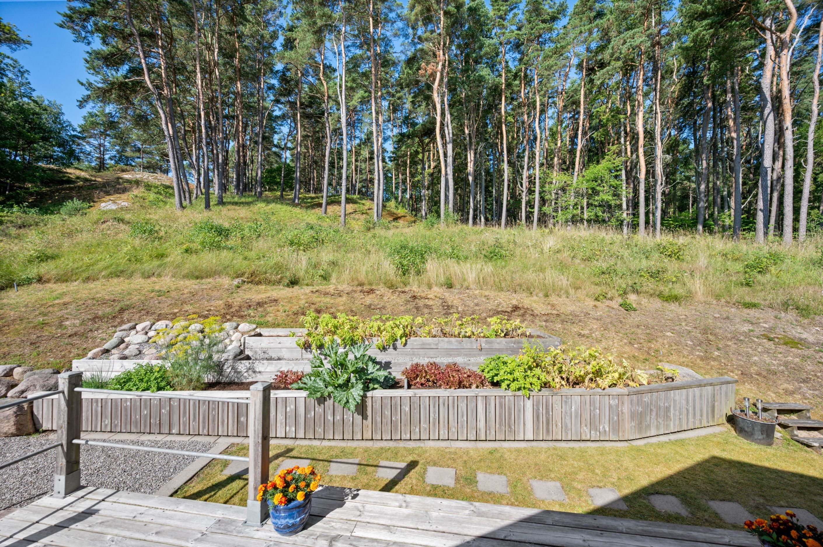 Bildkategori