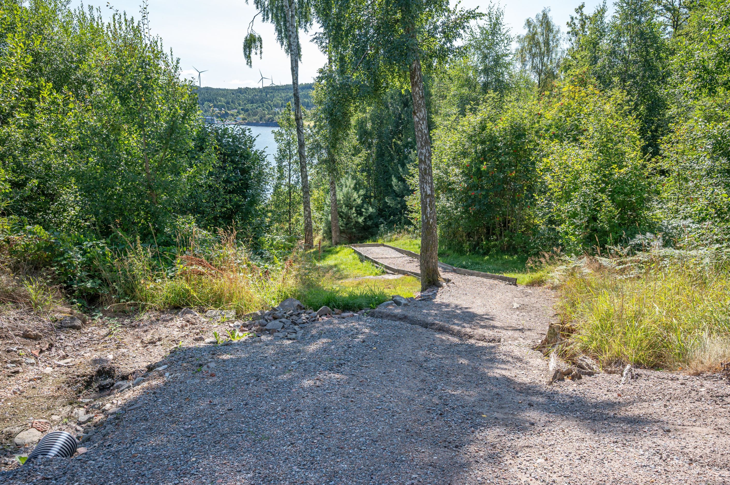 Bildkategori