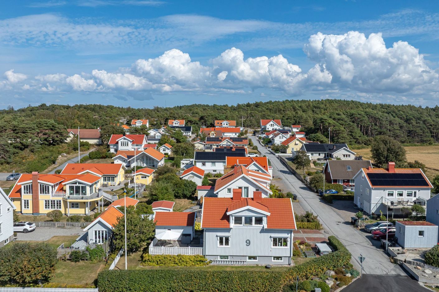 Bildkategori