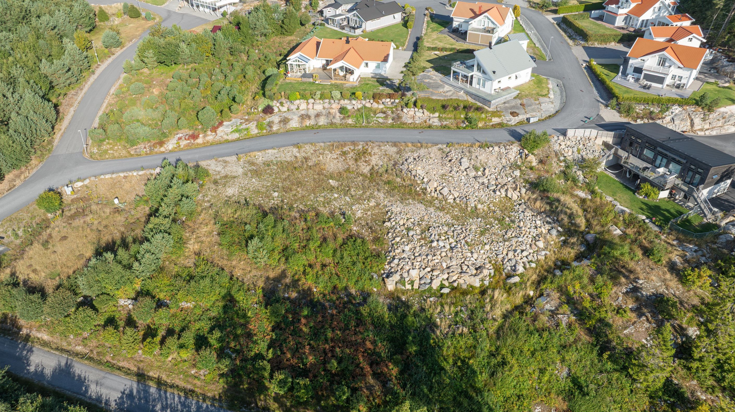Bildkategori