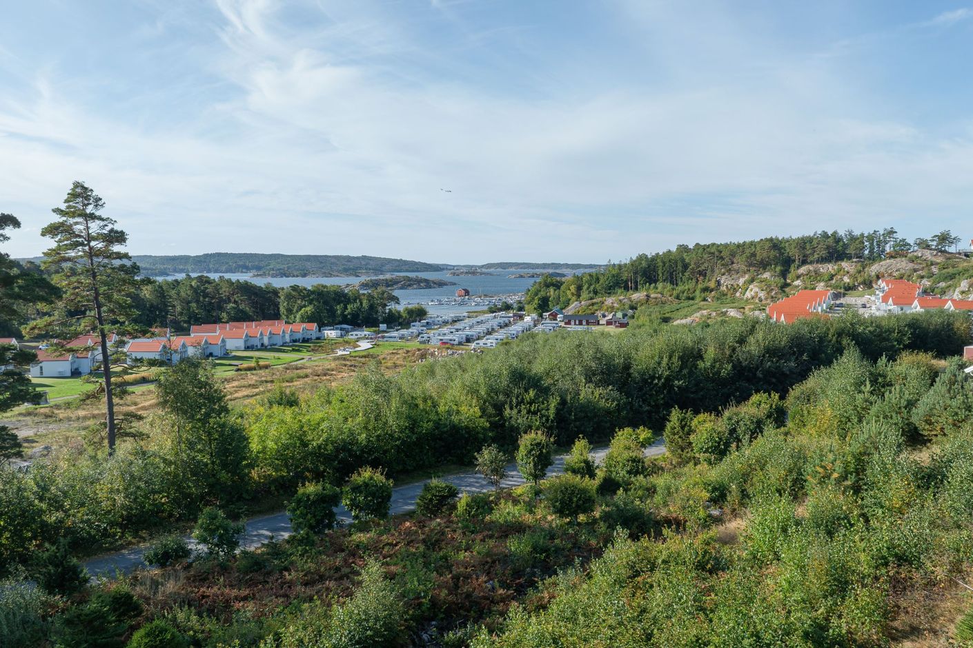 Bildkategori