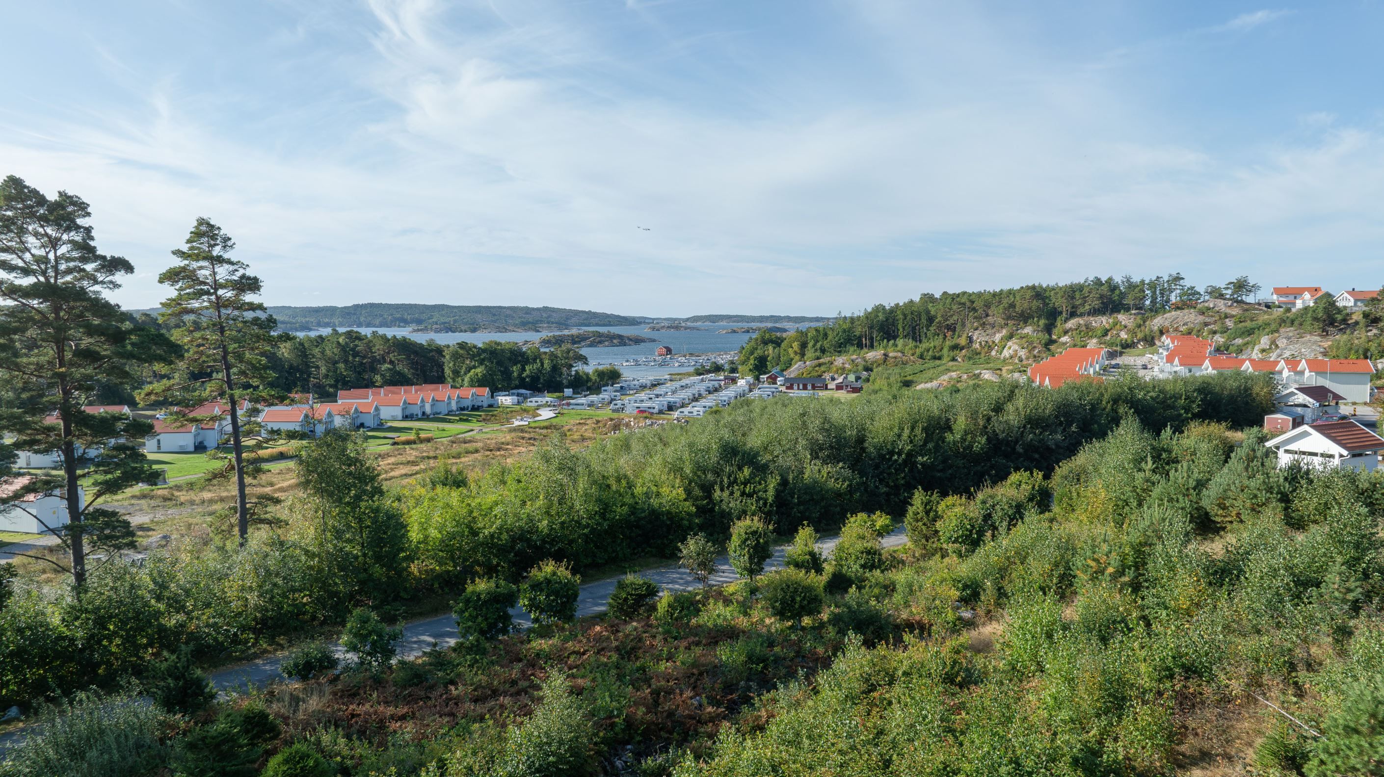 Bildkategori