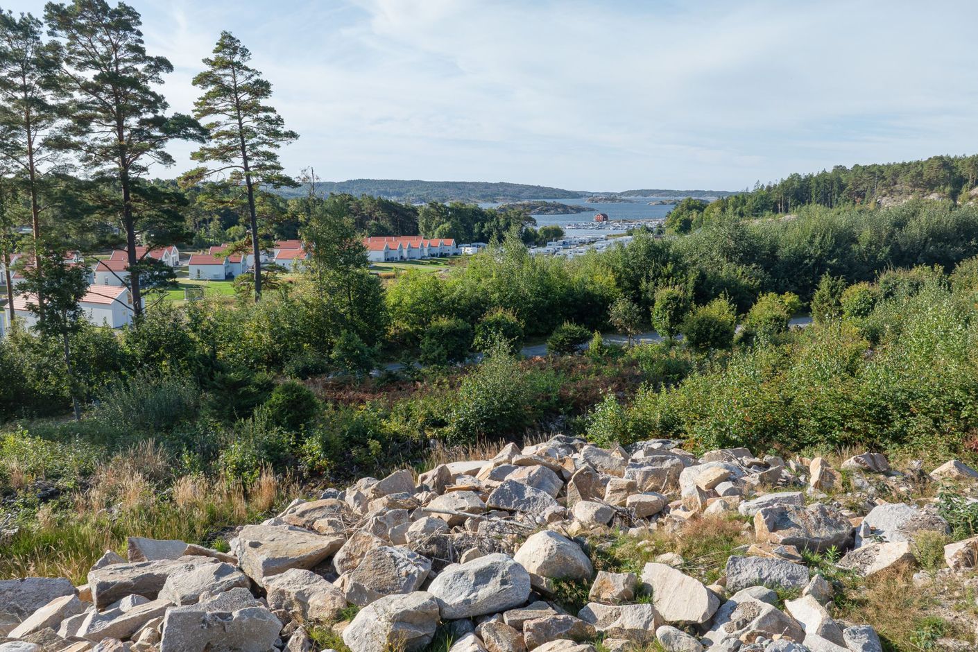 Bildkategori