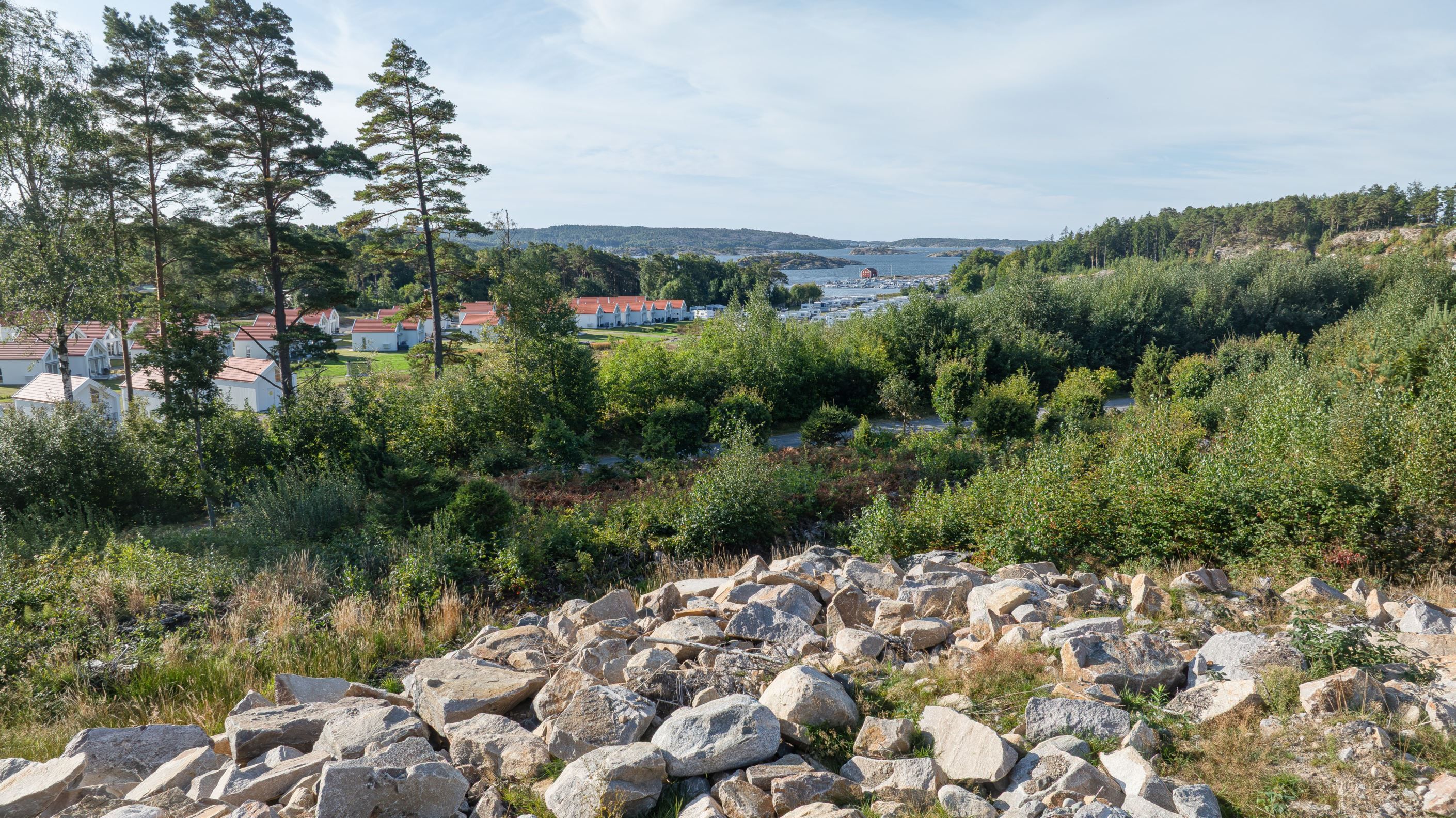 Bildkategori