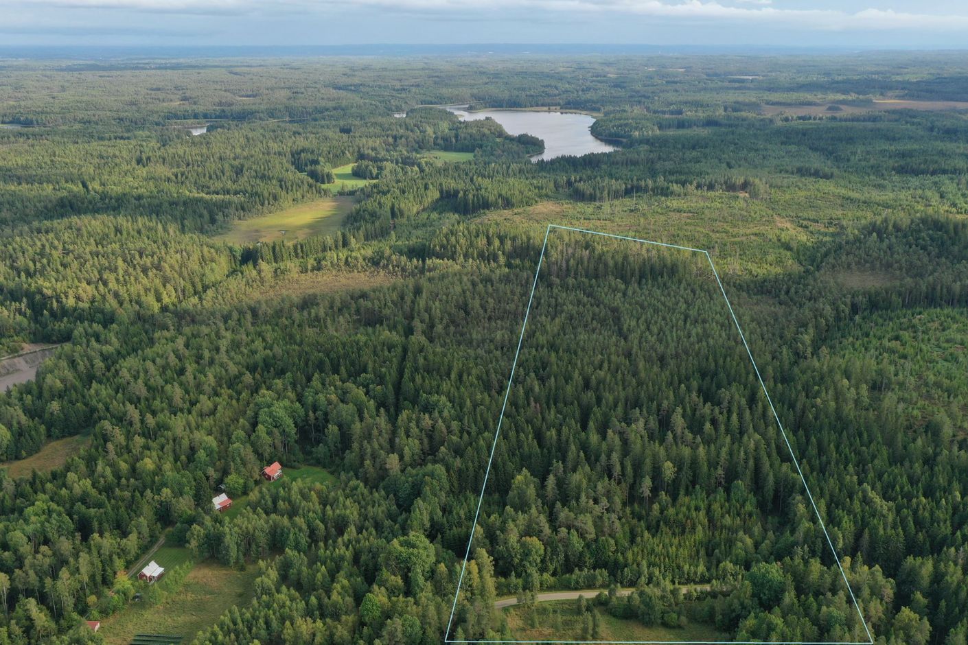 Ungfärlig gräns södra skifte 4