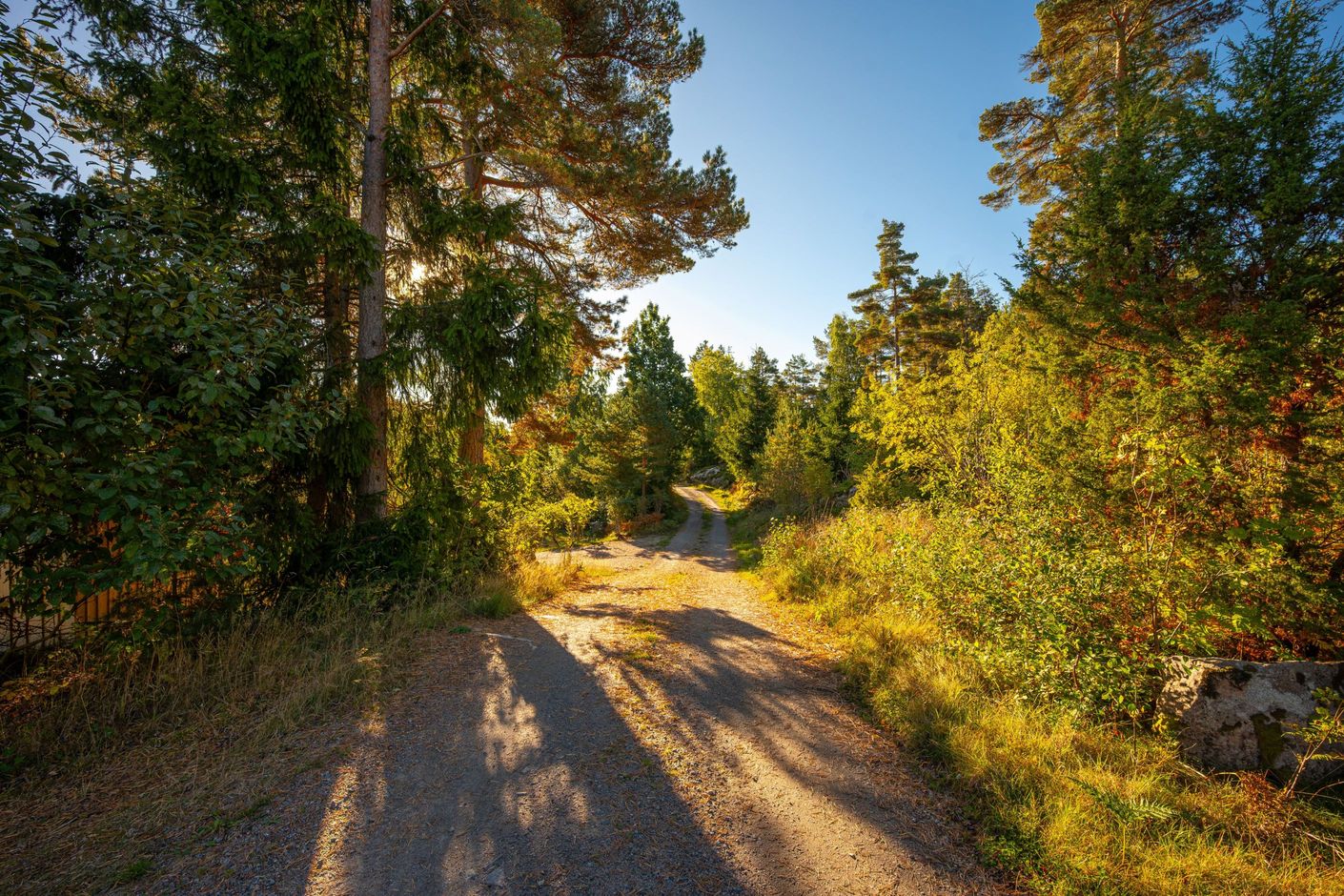 Bildkategori