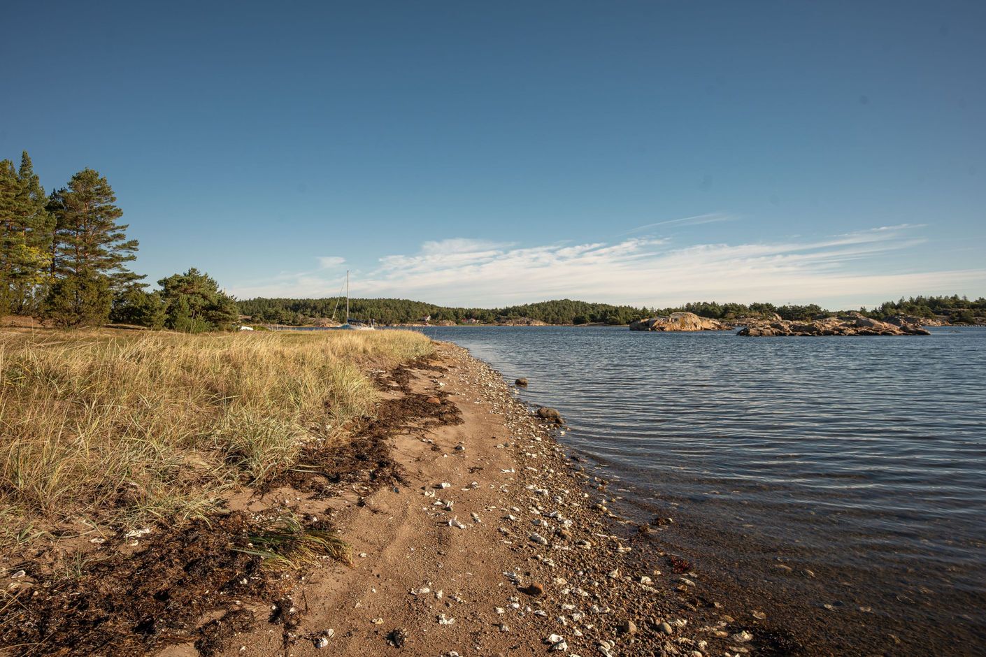 Bildkategori