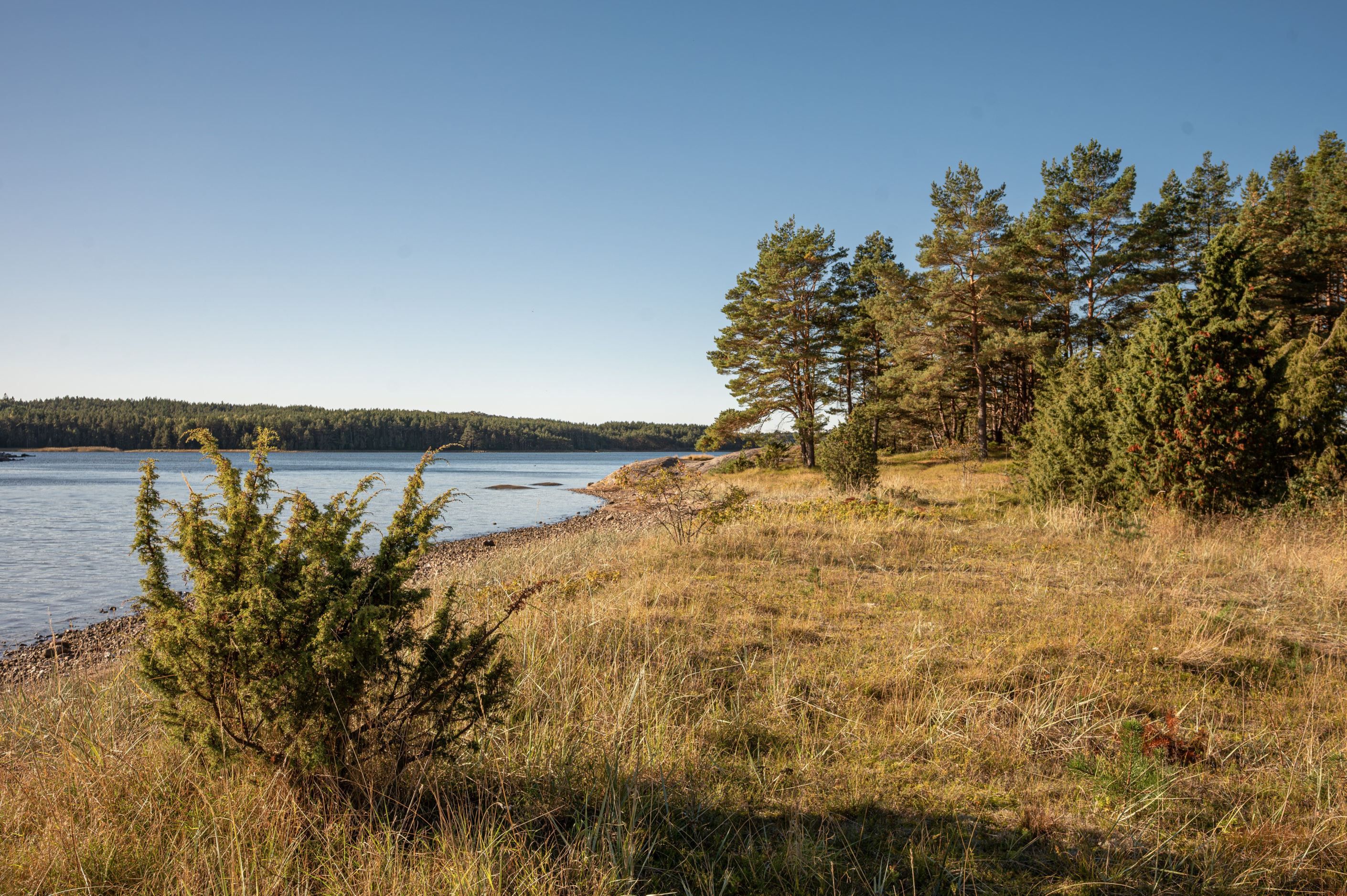 Bild 3 från HusmanHagberg