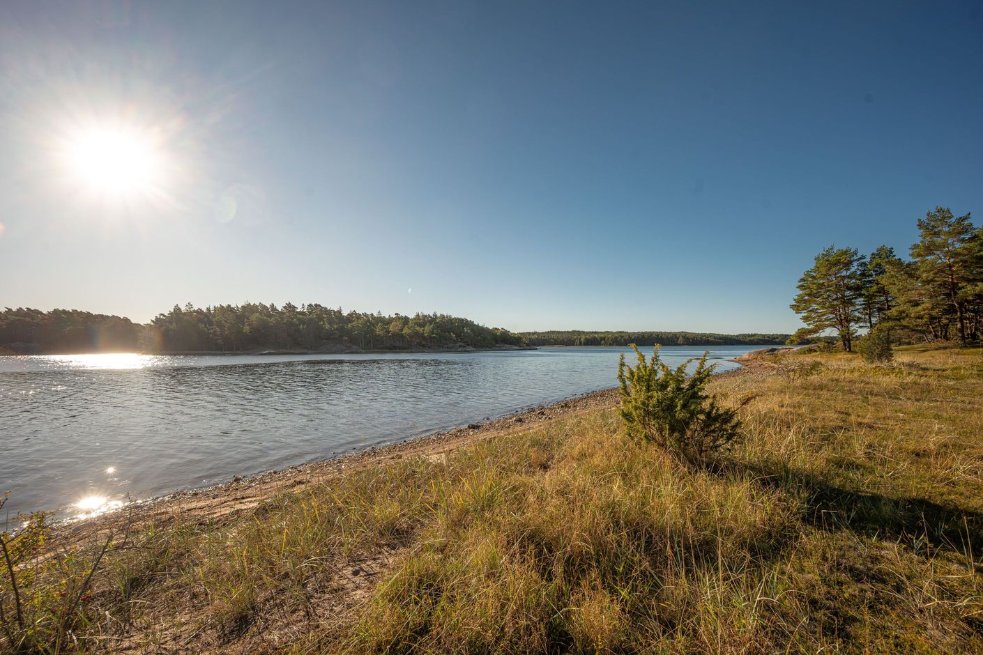 Bildkategori