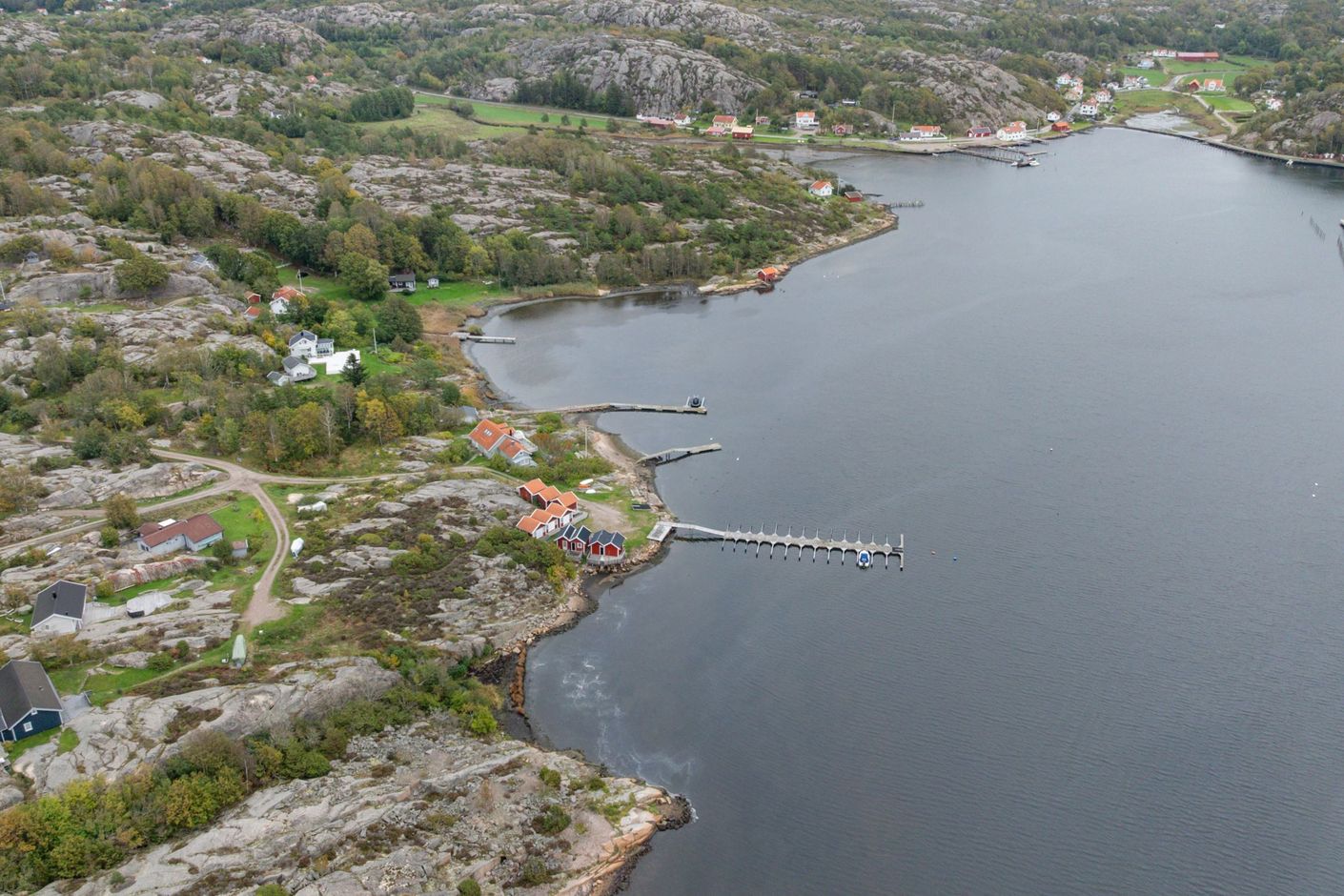 Bildkategori
