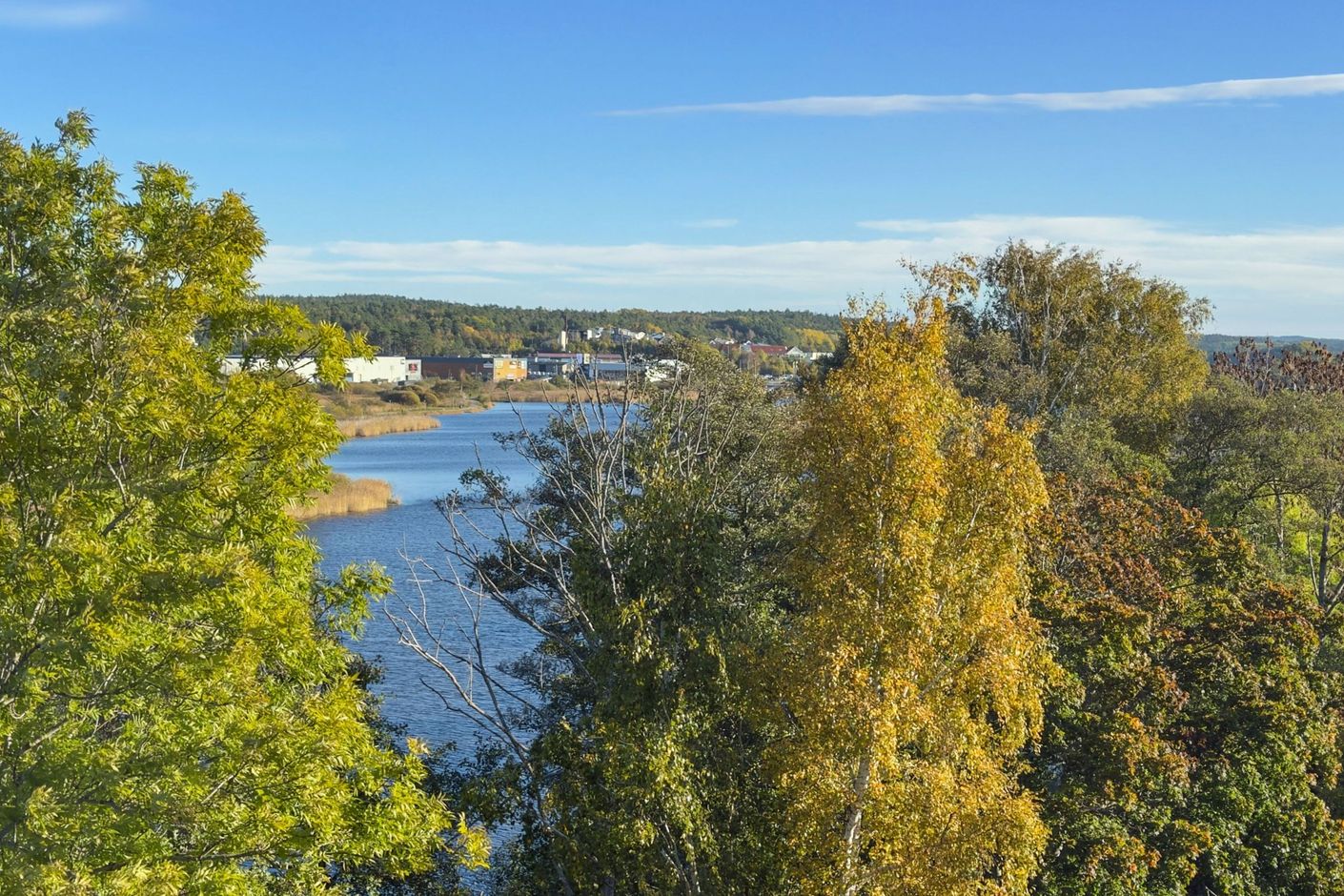 Bildkategori