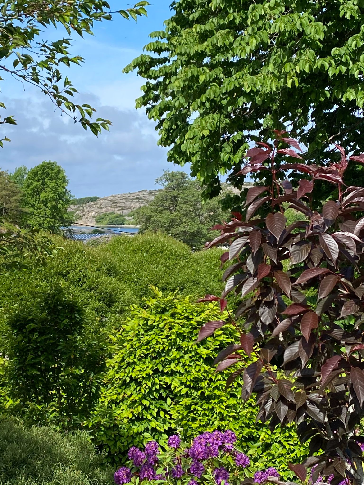 Havsglimt från tomten