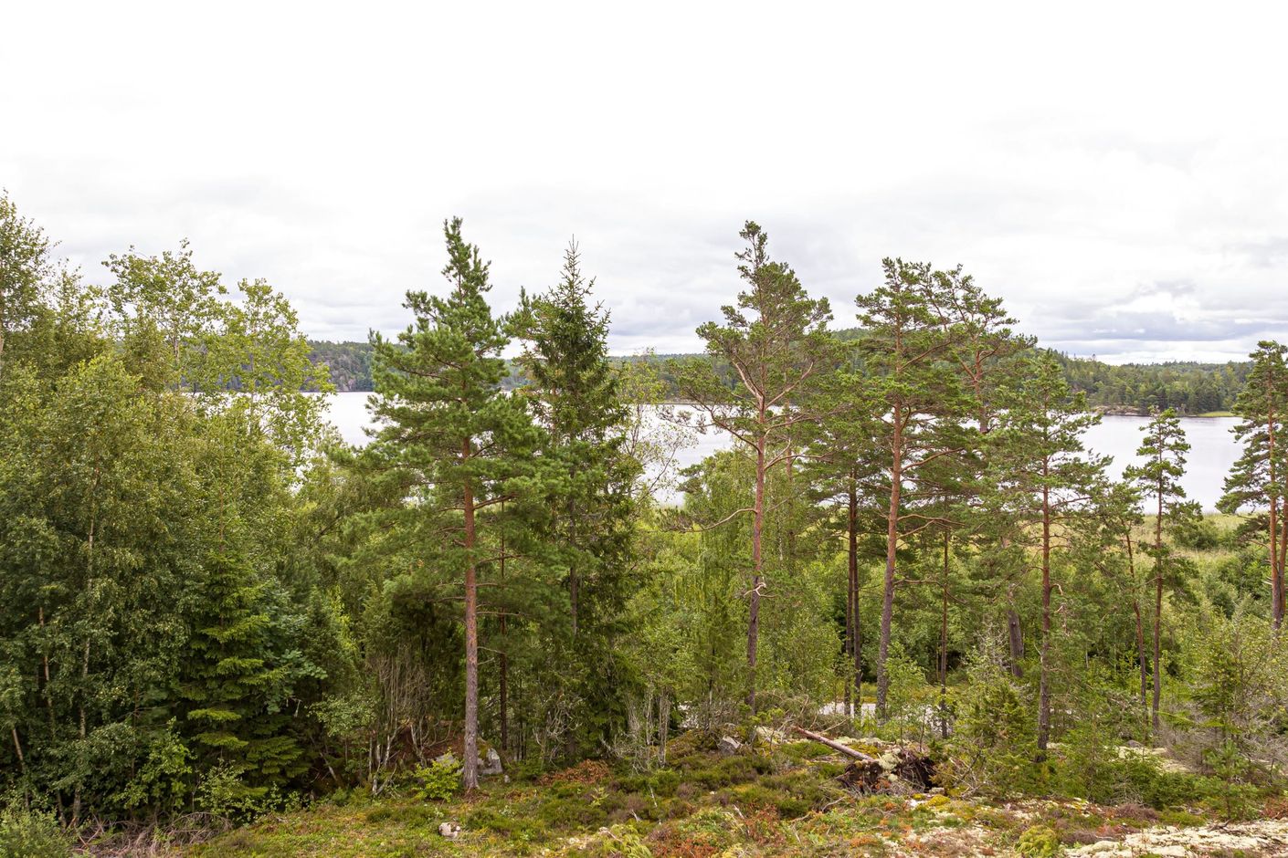 Utsikt från tänkbar byggnadshöjd