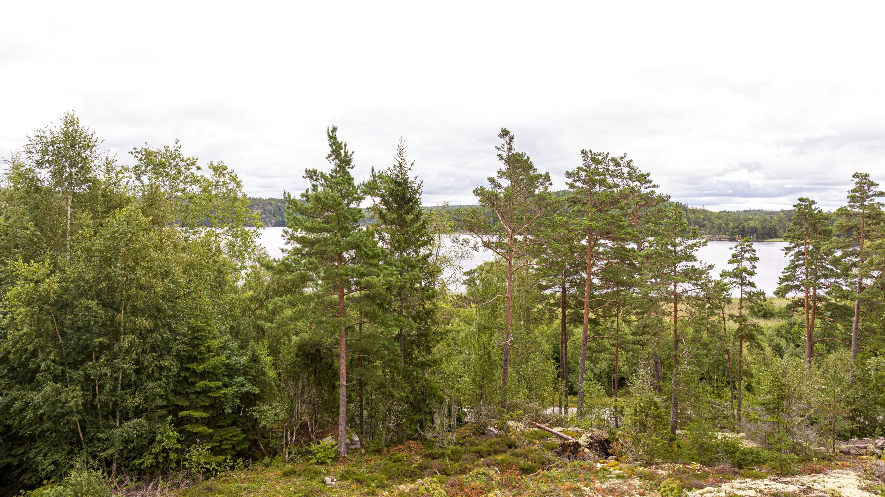Utsikt från tänkbar byggnadshöjd