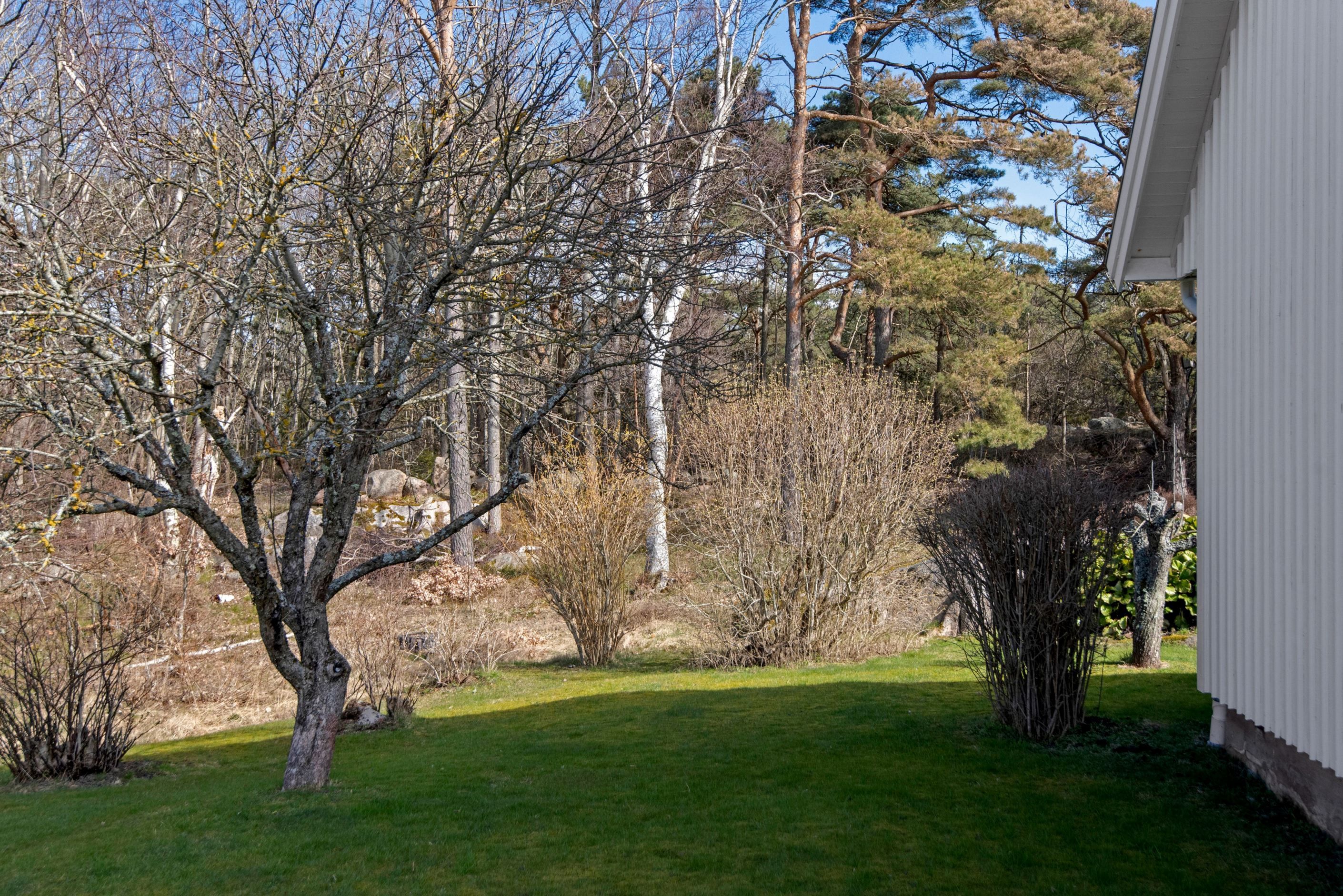 Områdesbild