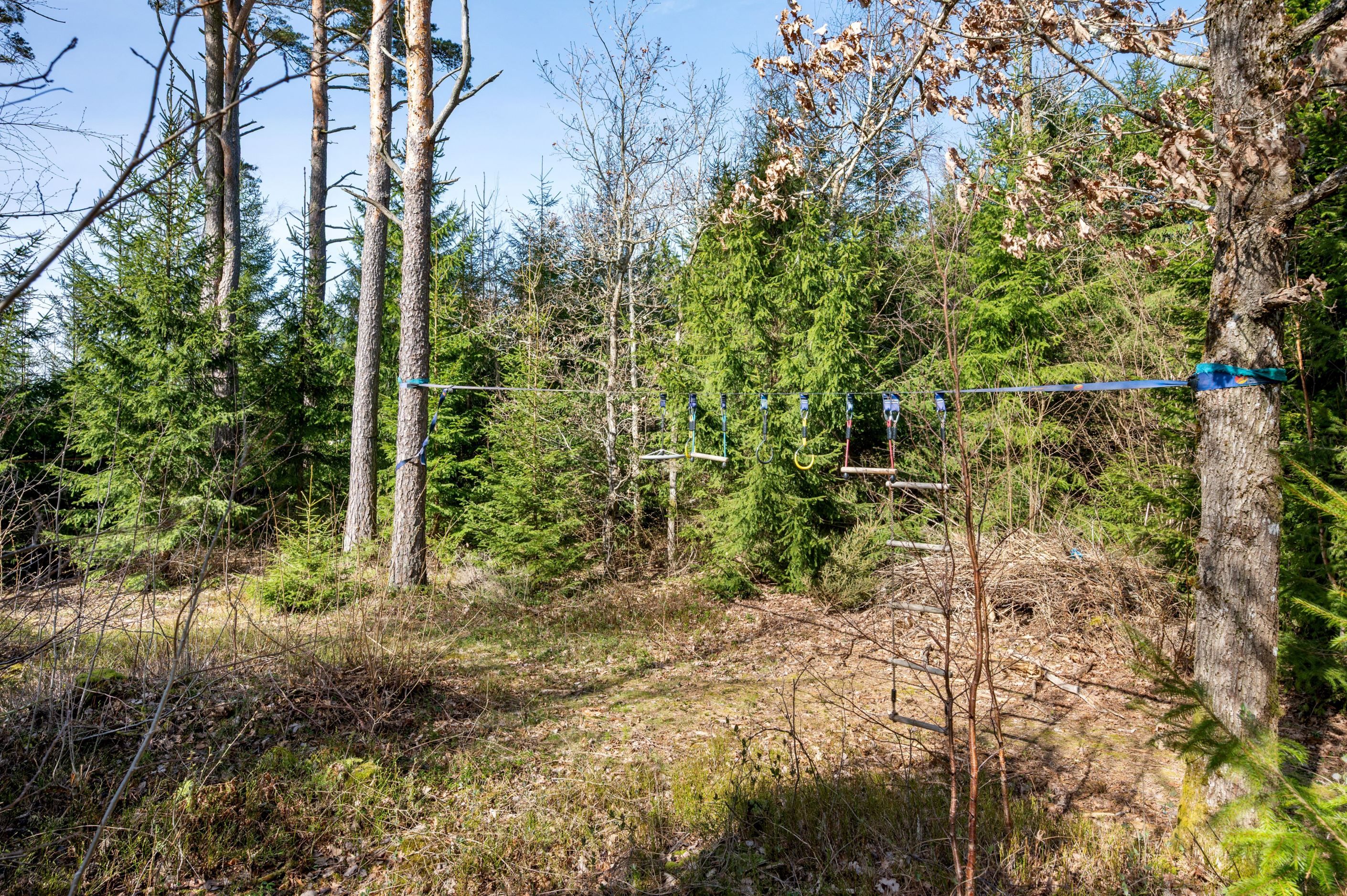Här kan barnen leka i sin egen "skog"