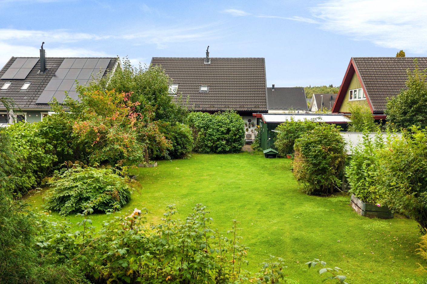 Exteriör