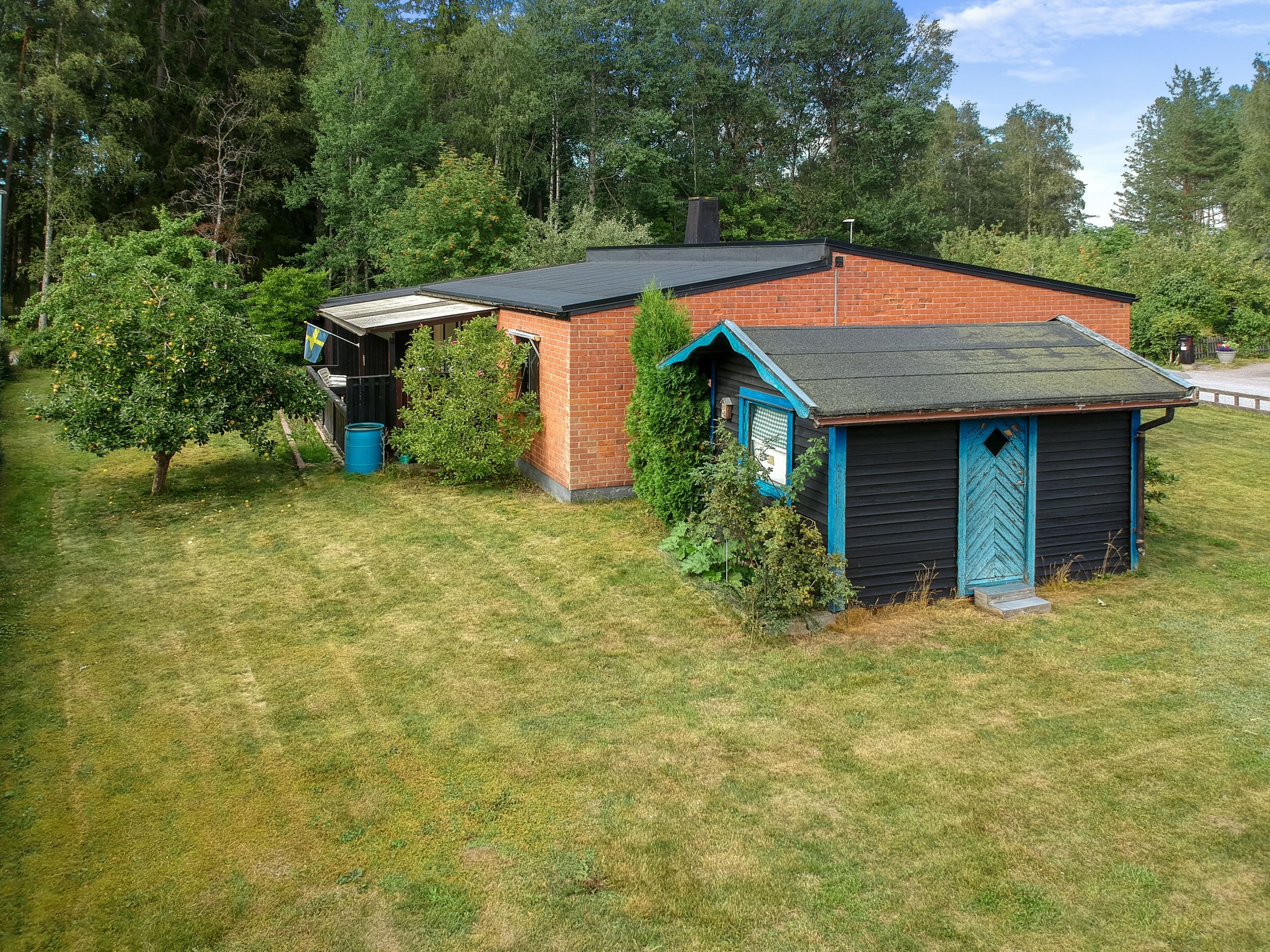 Trädgård