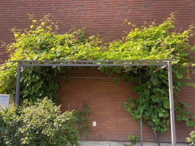 Säljarens egna bilder