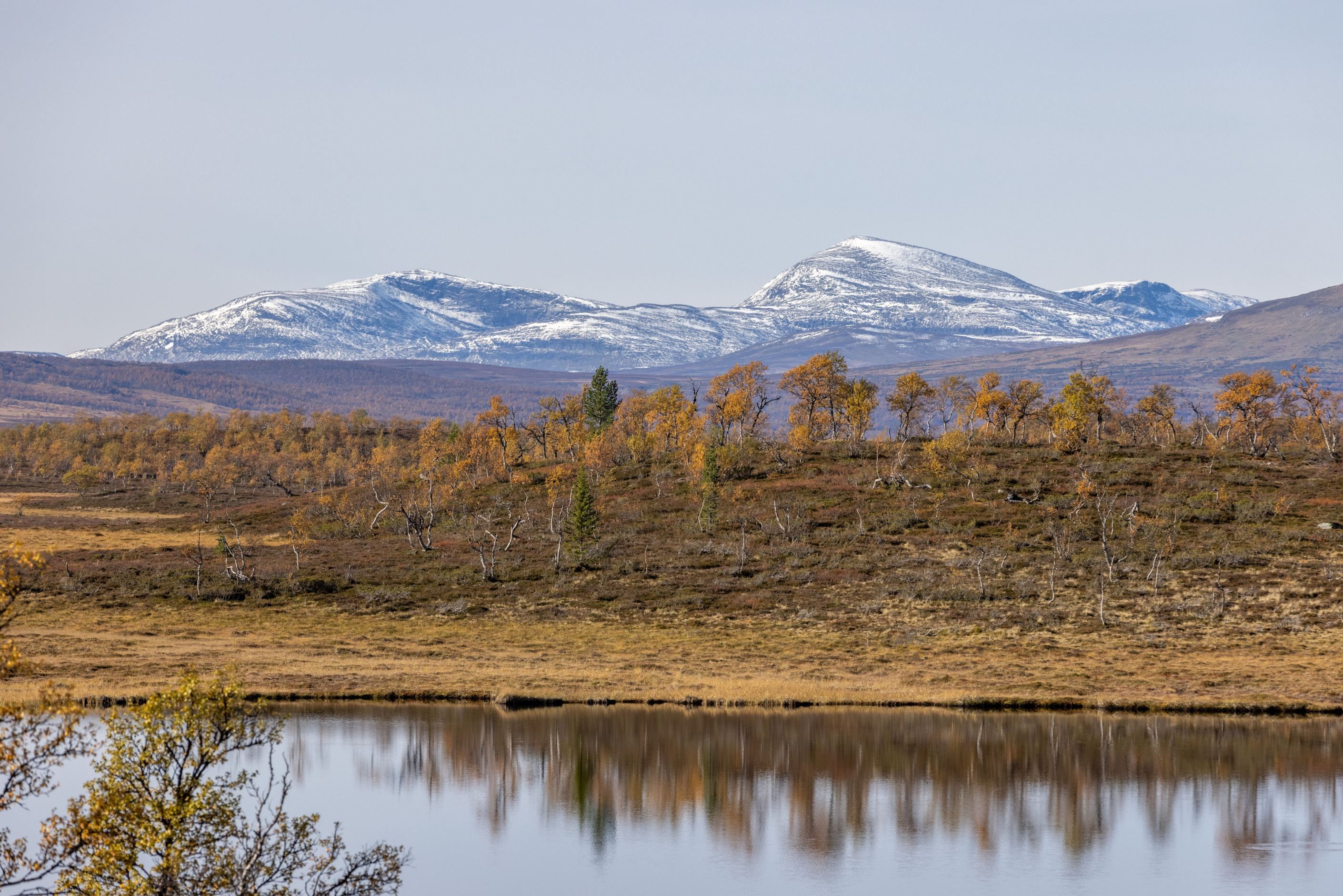 Områdesbild