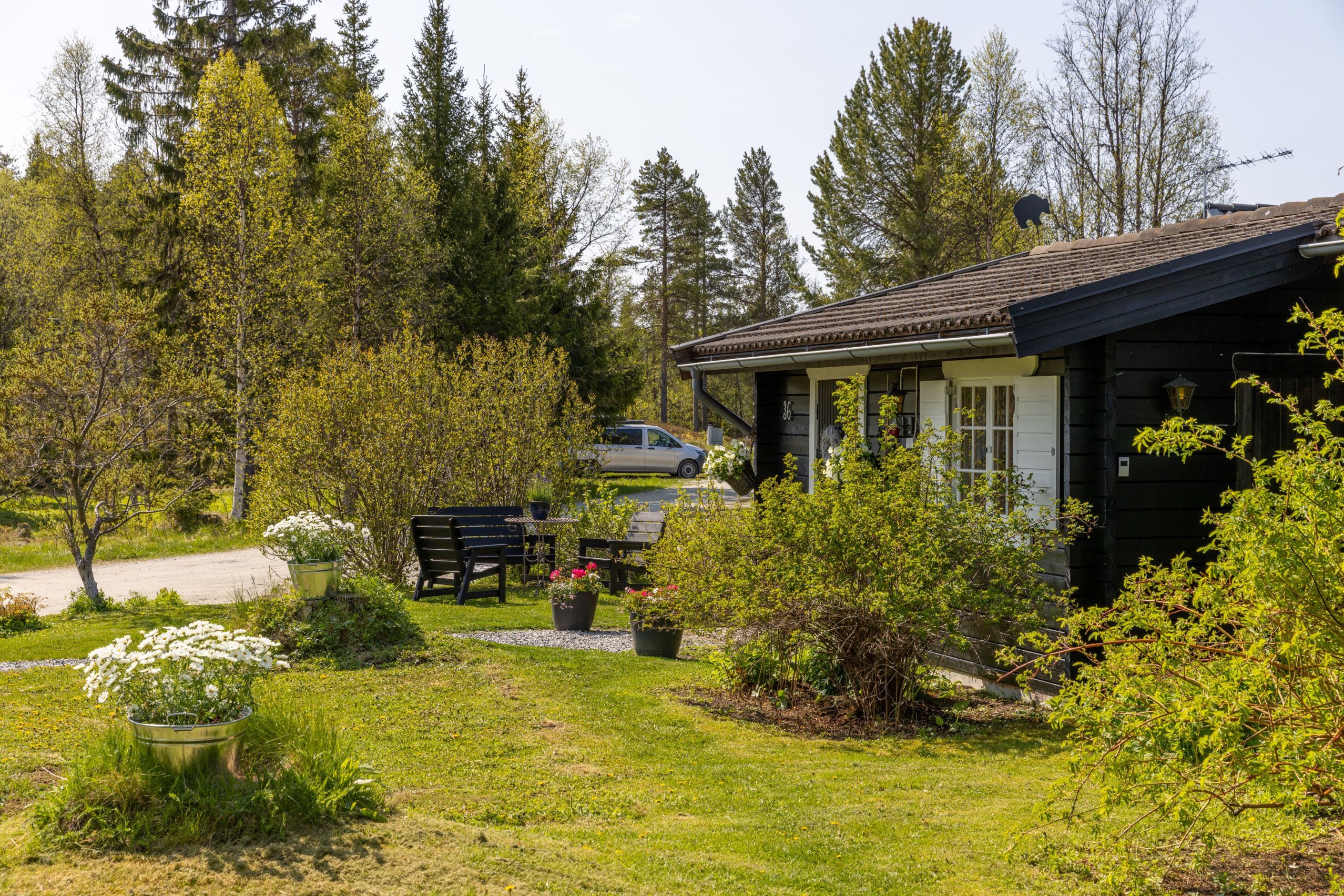 Exteriör