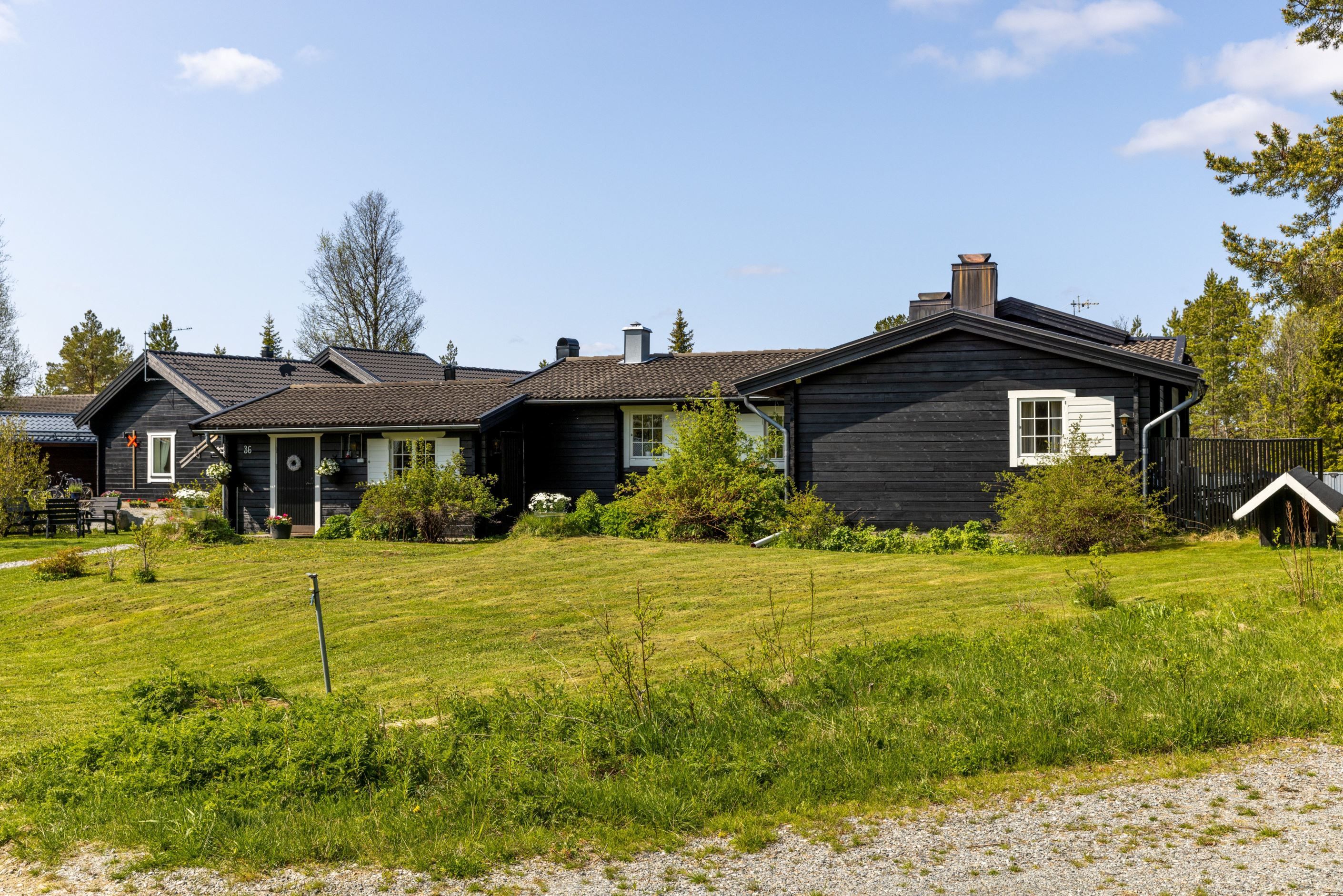 Exteriör