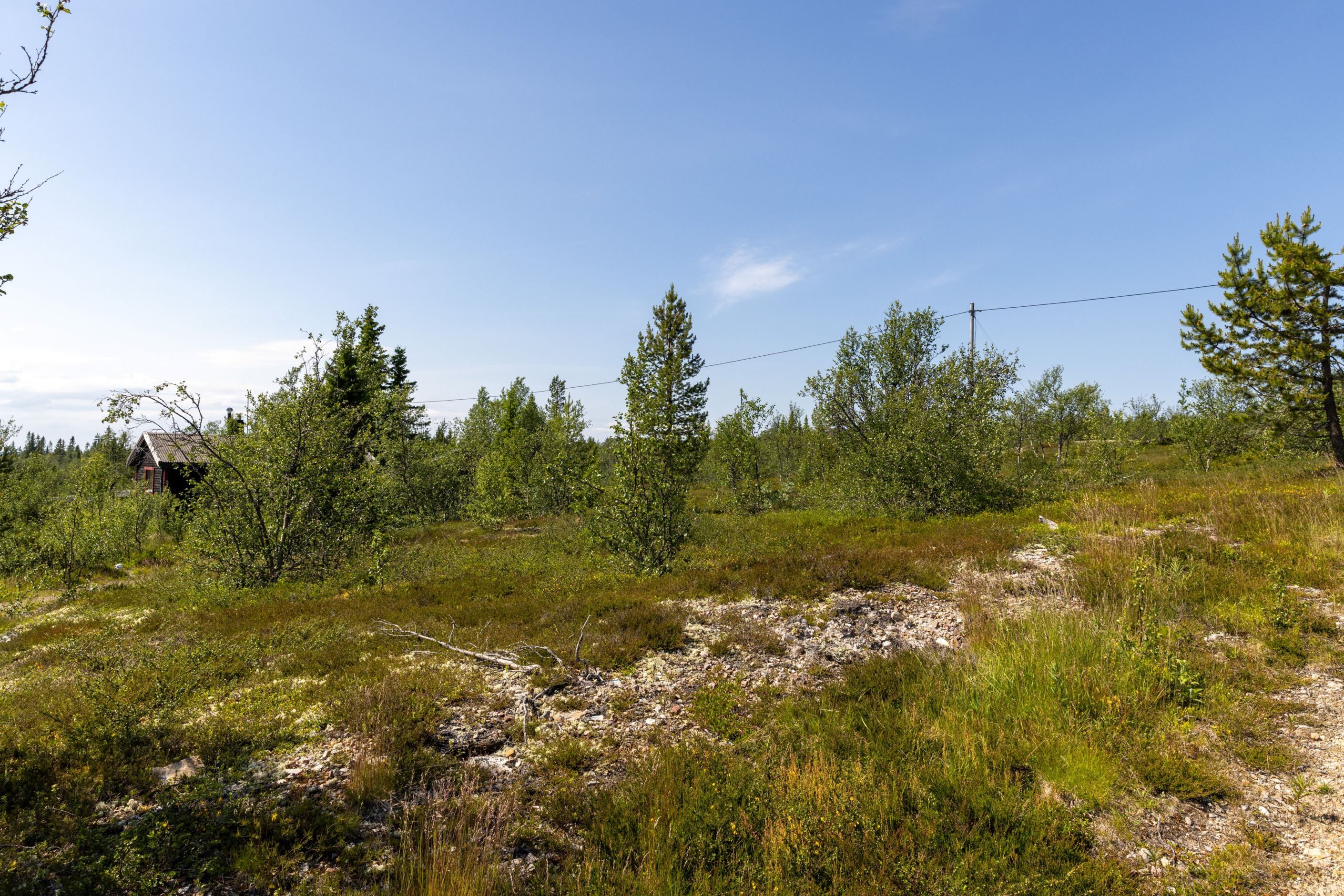 Områdesbild