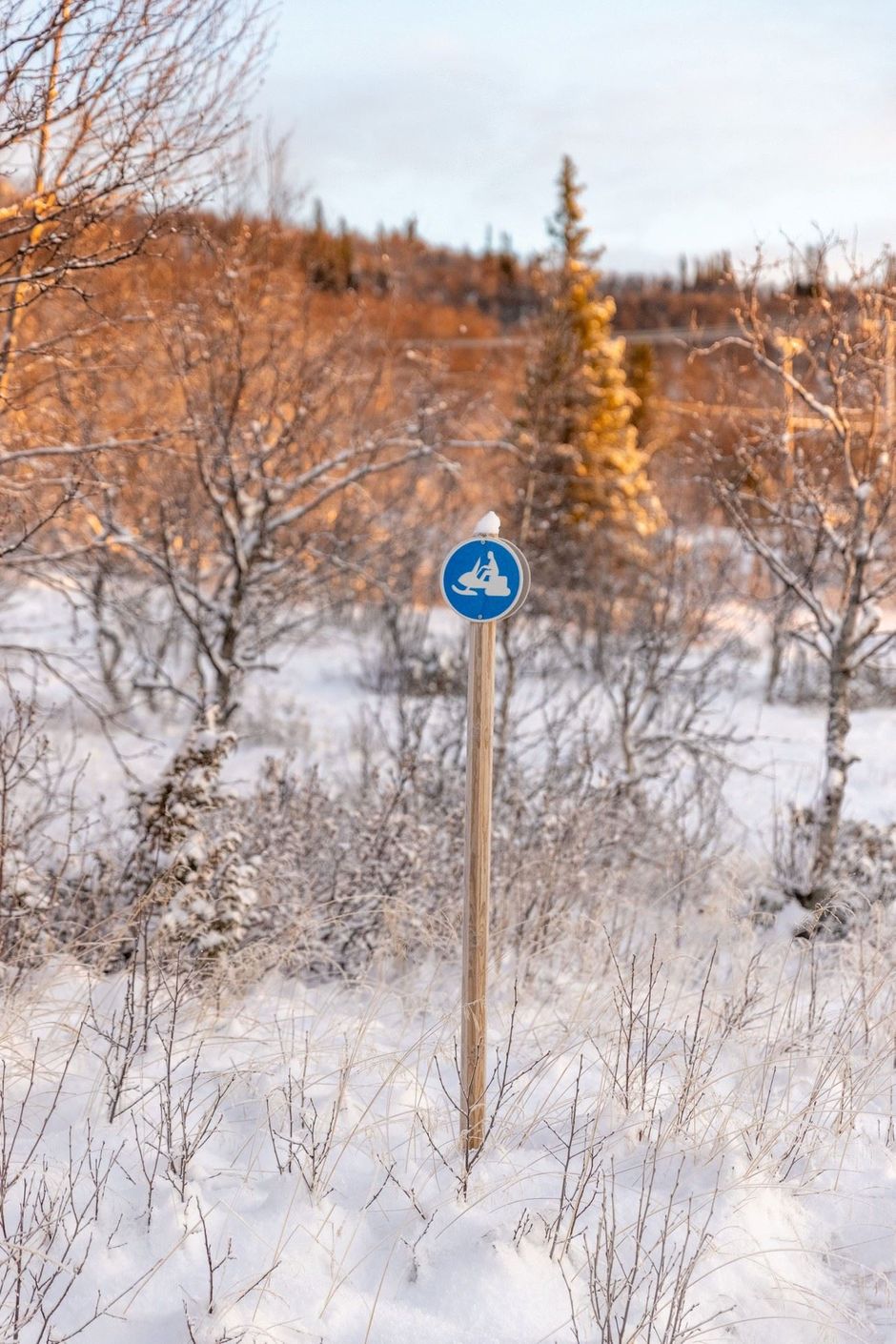 Skoterspår i området