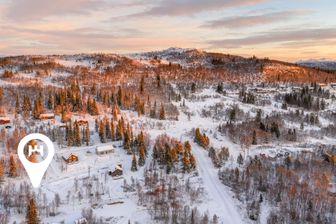 Skarvrusätern Bäckstigen 11