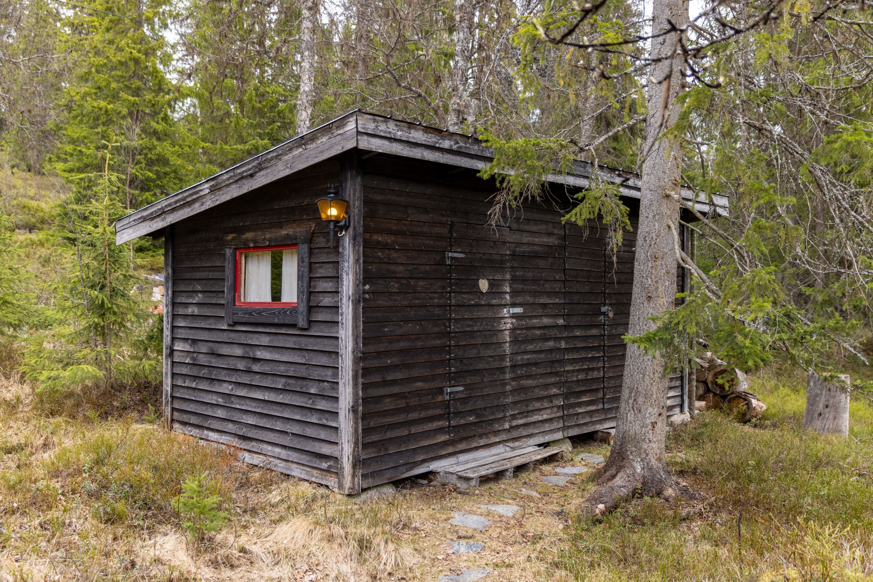 Bildkategori