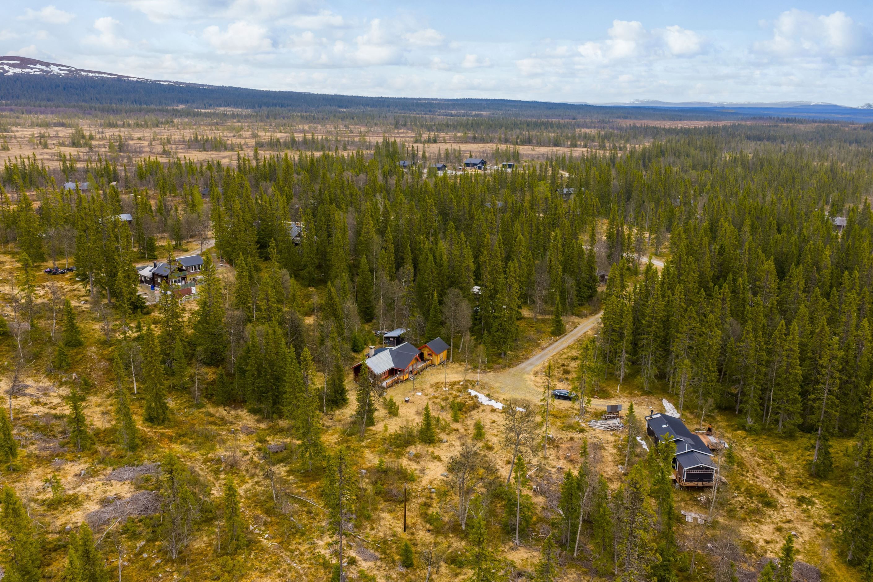 Bildkategori
