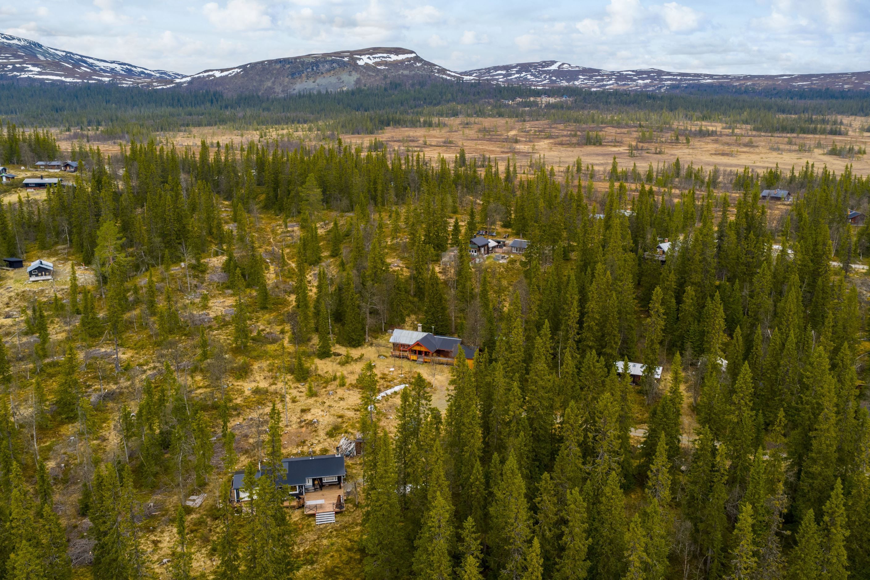 Bildkategori