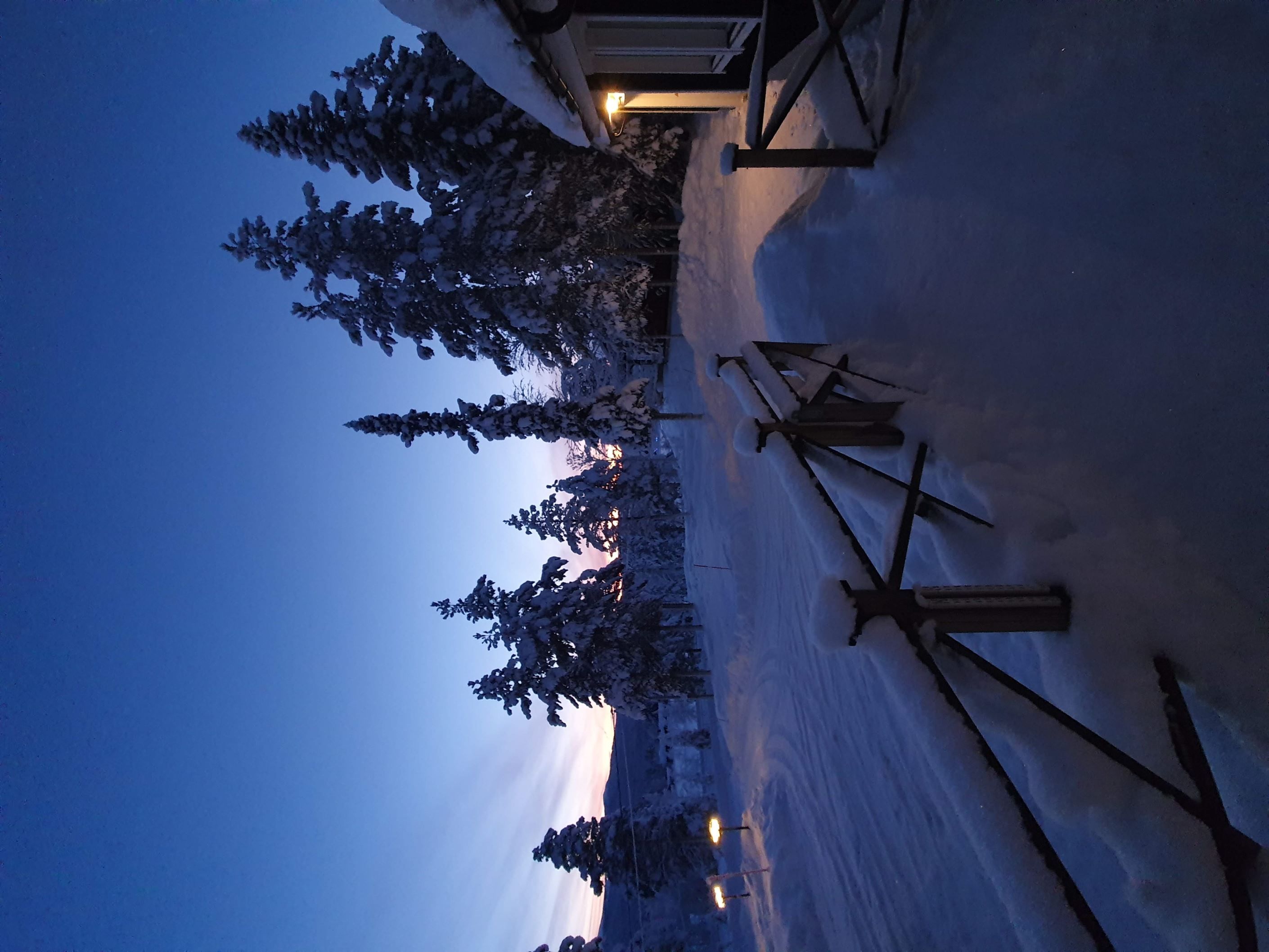Säljarens foto