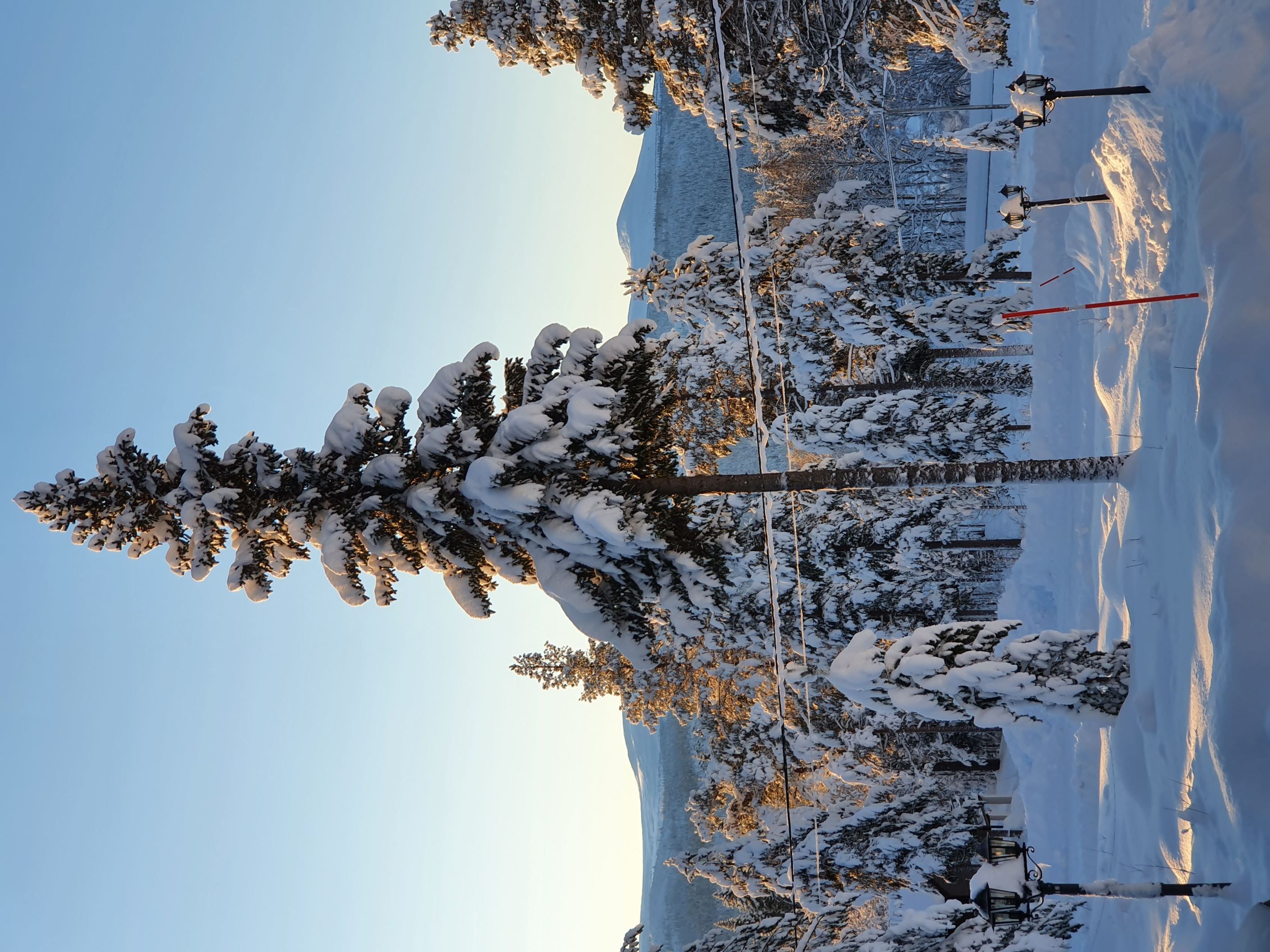 Säljarens foto