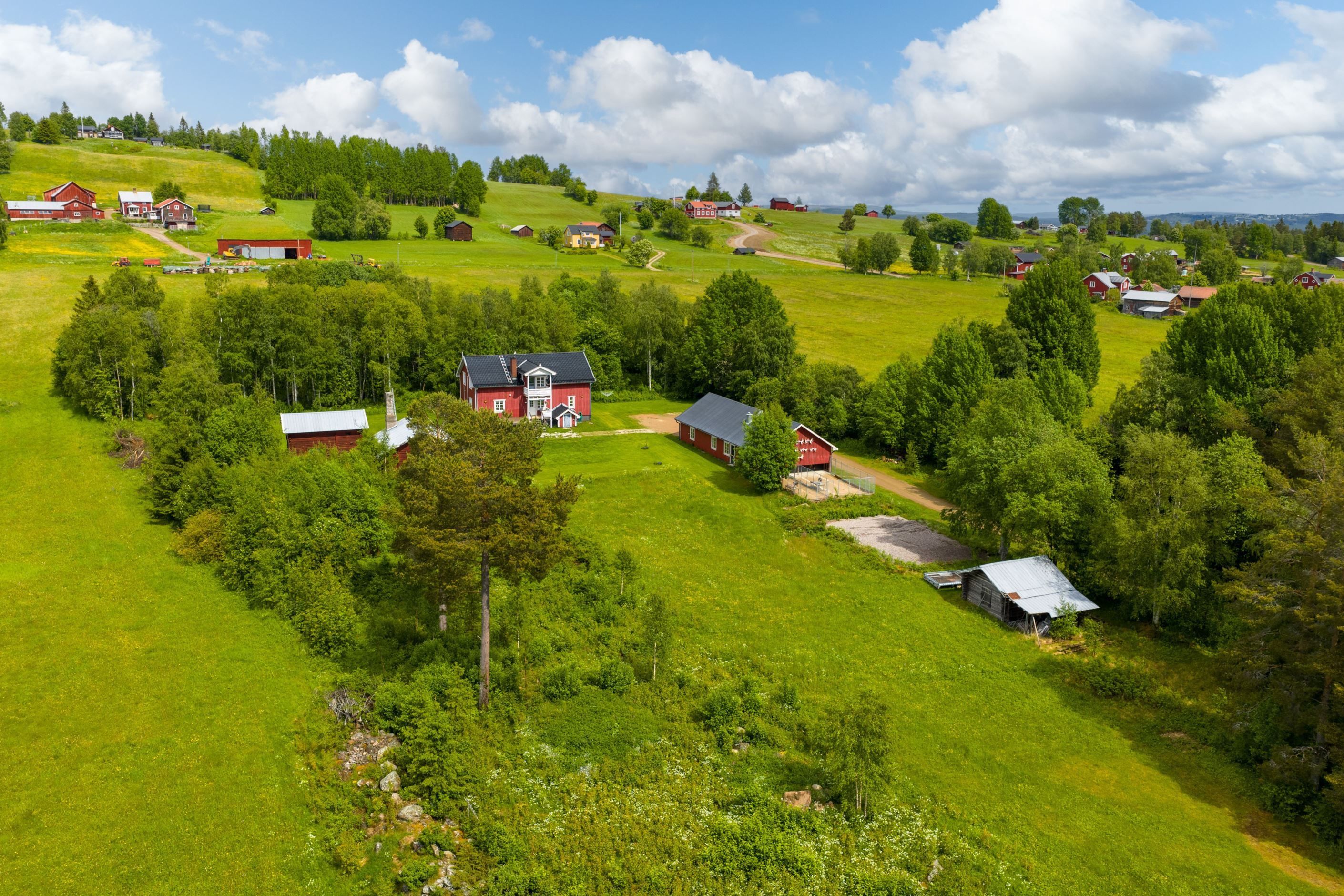 Bildkategori