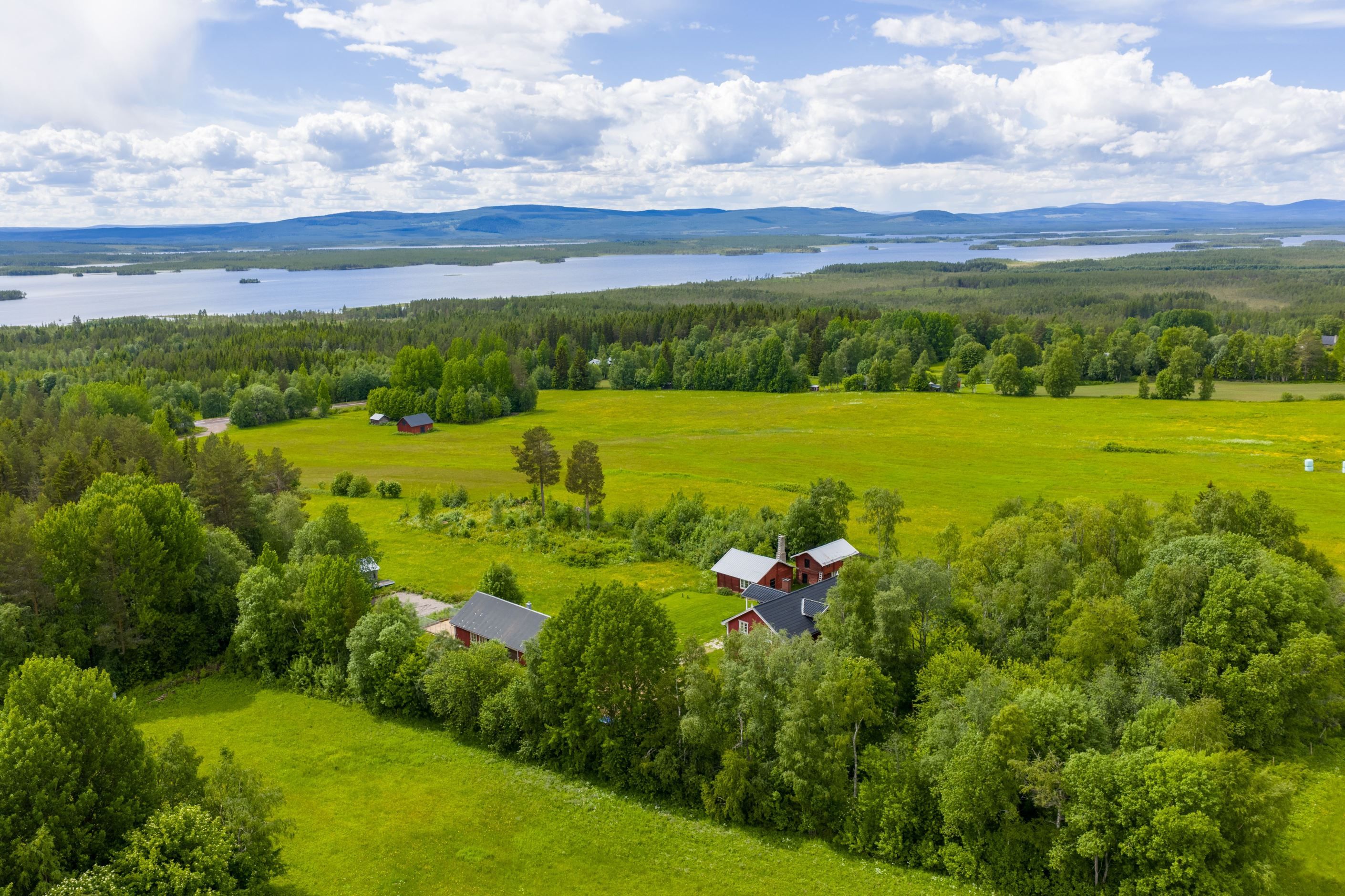 Bildkategori